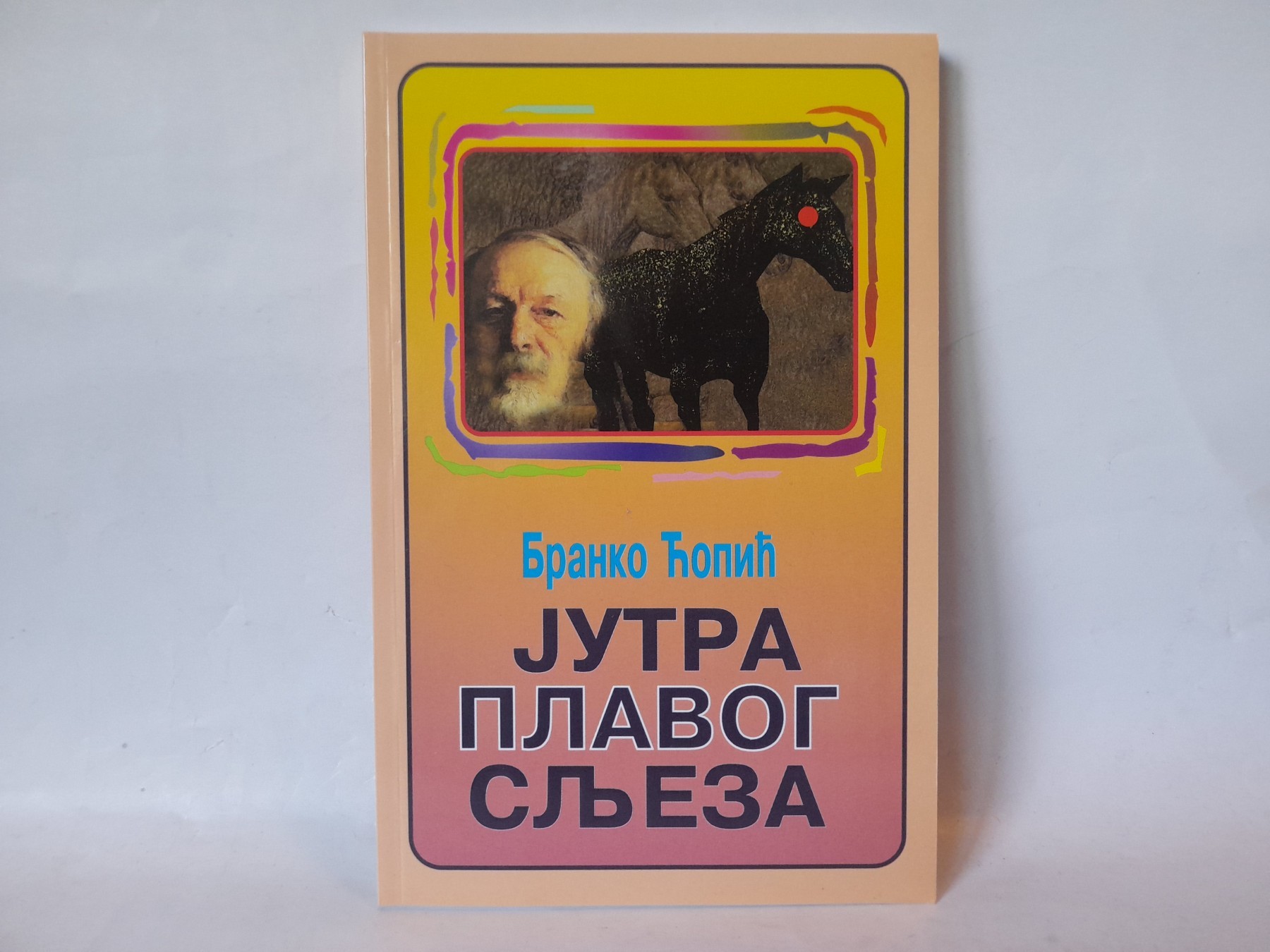 Jutro plavog sljeza — Branko Ćopić