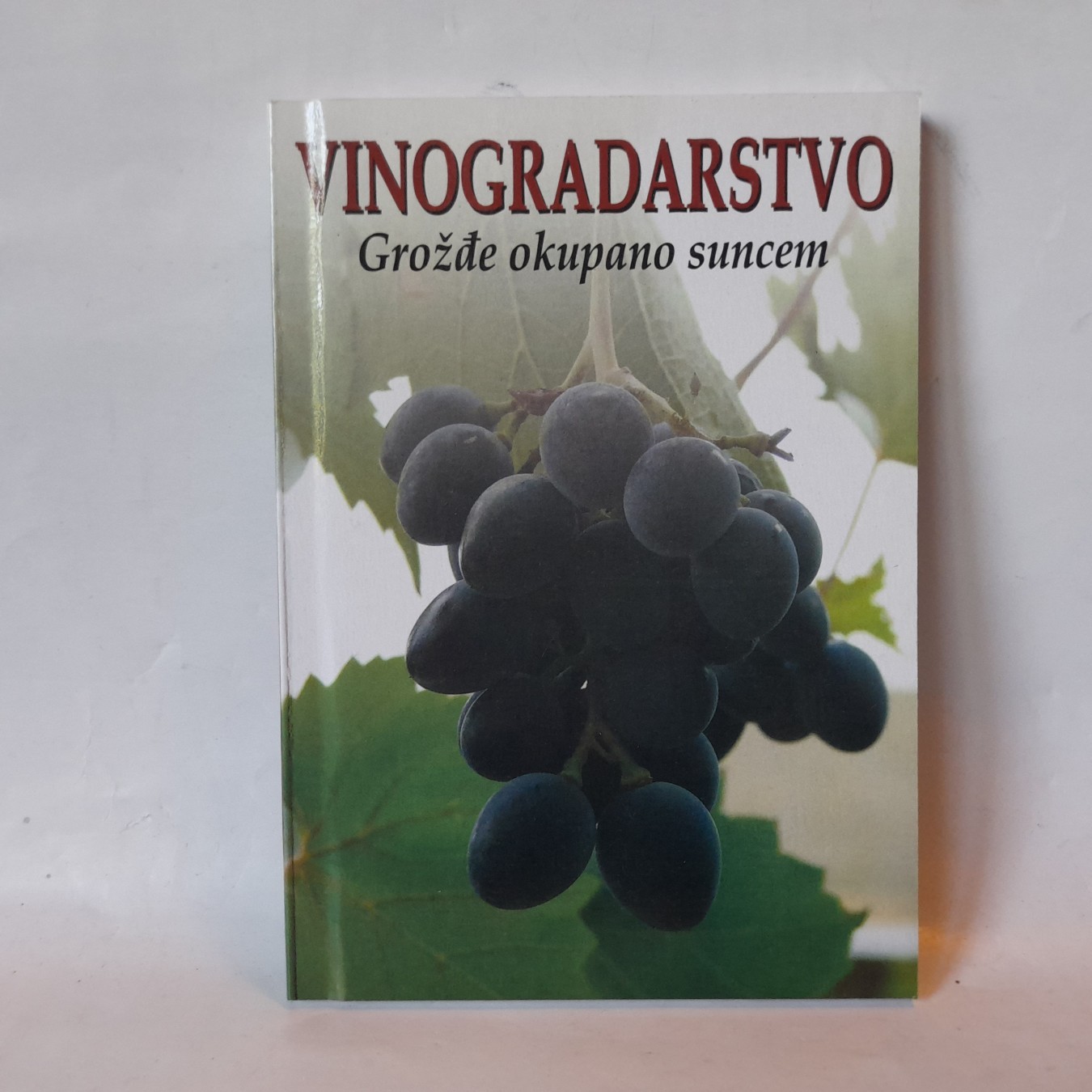 Vinogradarstvo — grožđe okupano suncem — Miodrag Vujović