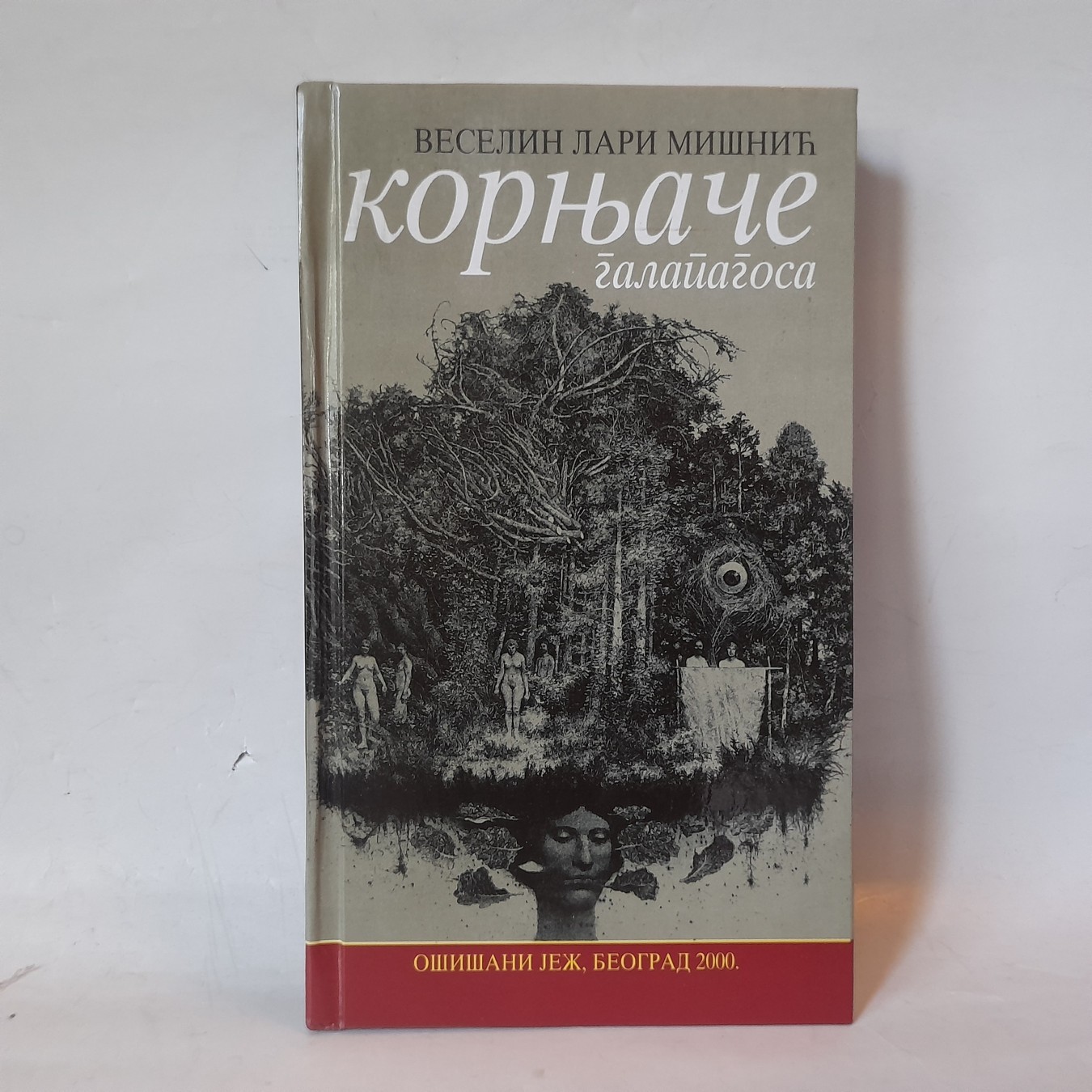Kornjače sa Galapagosa — Veselin Lari Mišnić