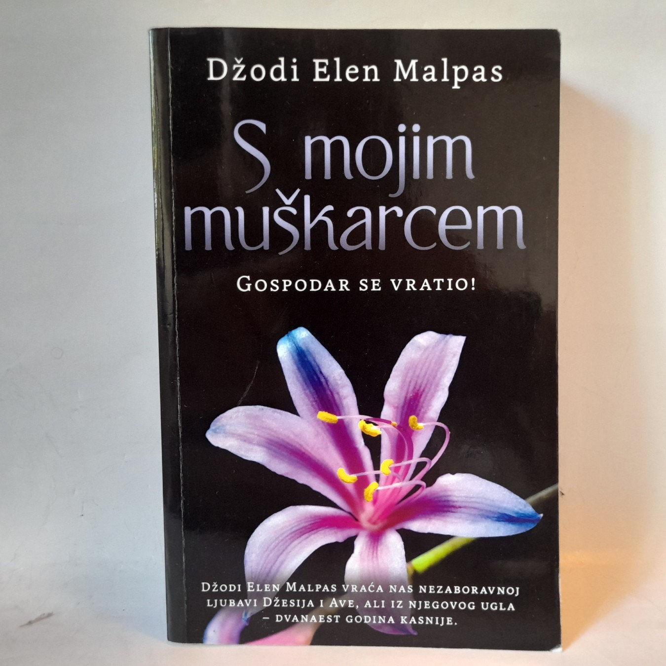 S mojim muškarcem — Džodi Elen Malpas