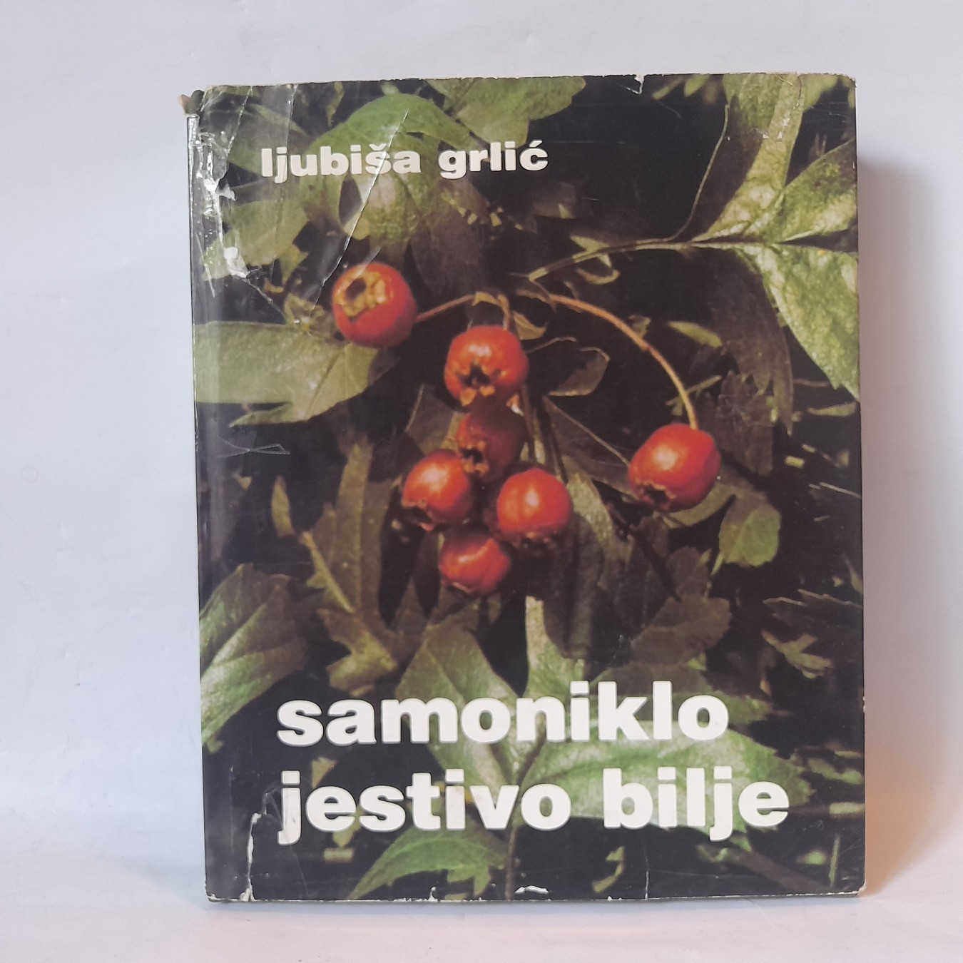 Samoniklo jestivo bilje — Ljubiša Grlić