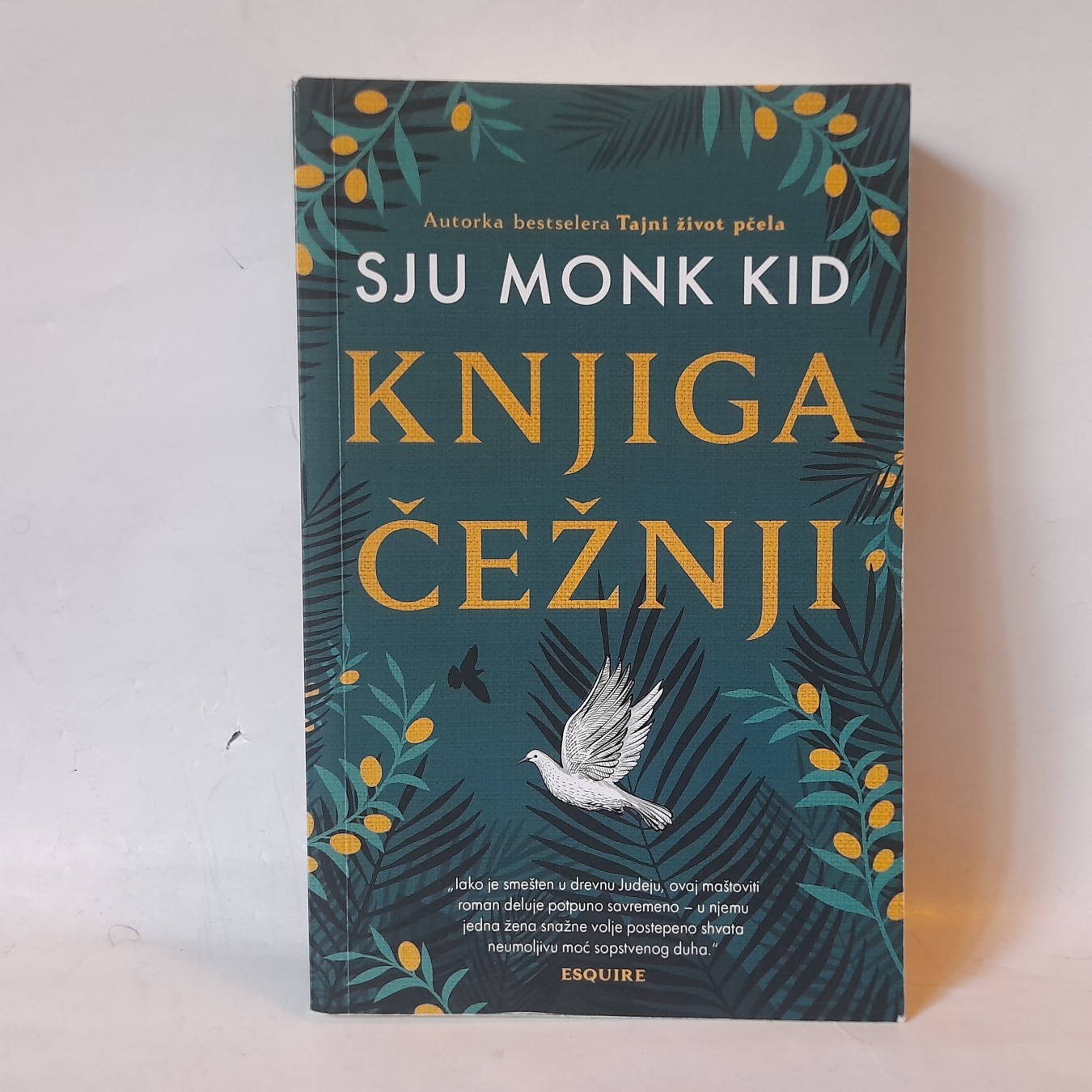 Knjiga čežnji — Sju Monk Kid