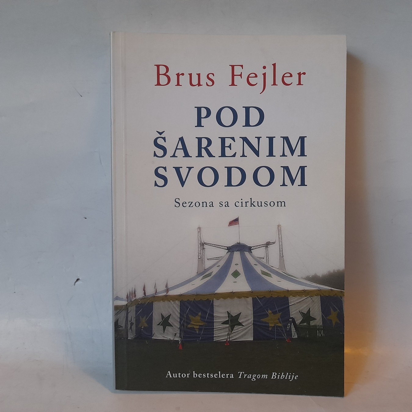 Pod šarenim svodom — Brus Fejler