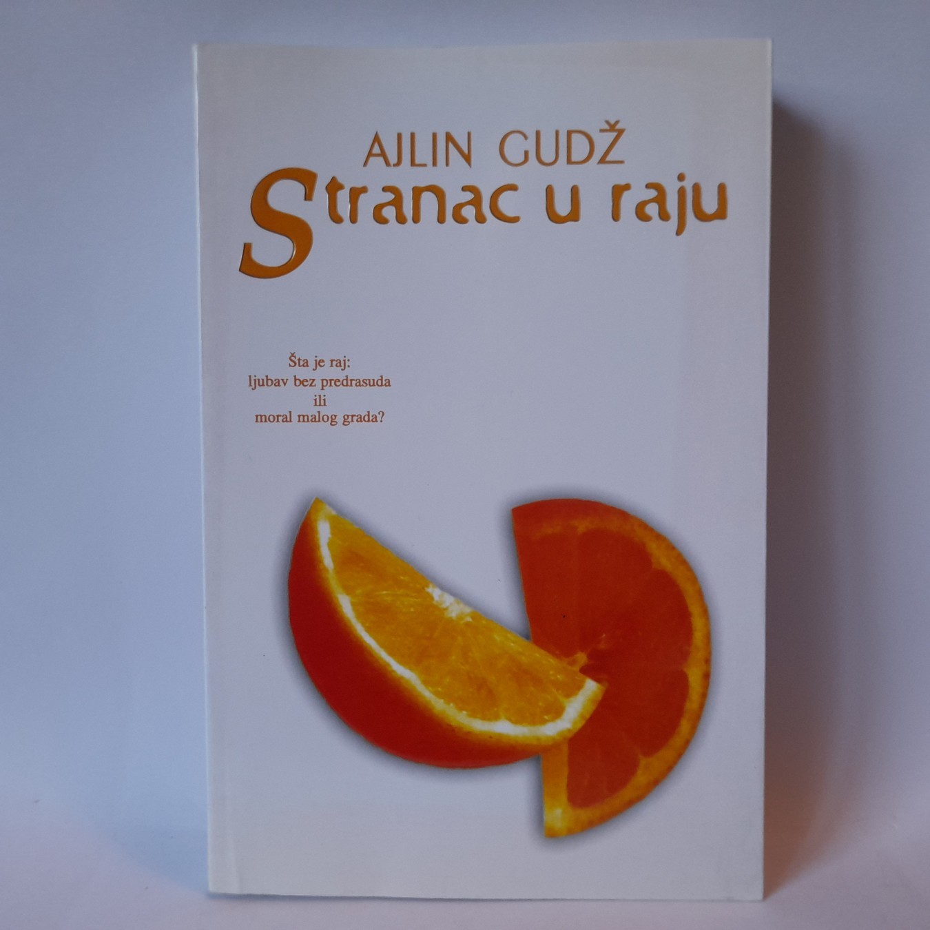 Stranac u raju — Ajlin Gudž