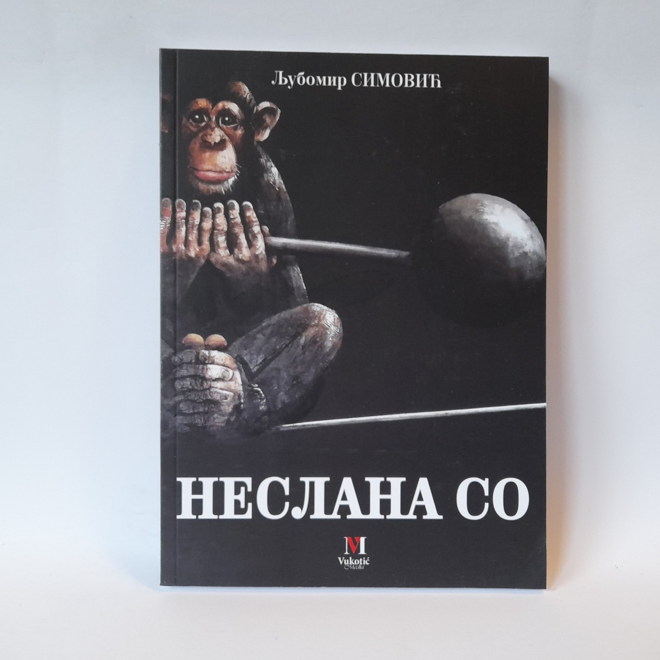Neslana so — Ljubomir Simović