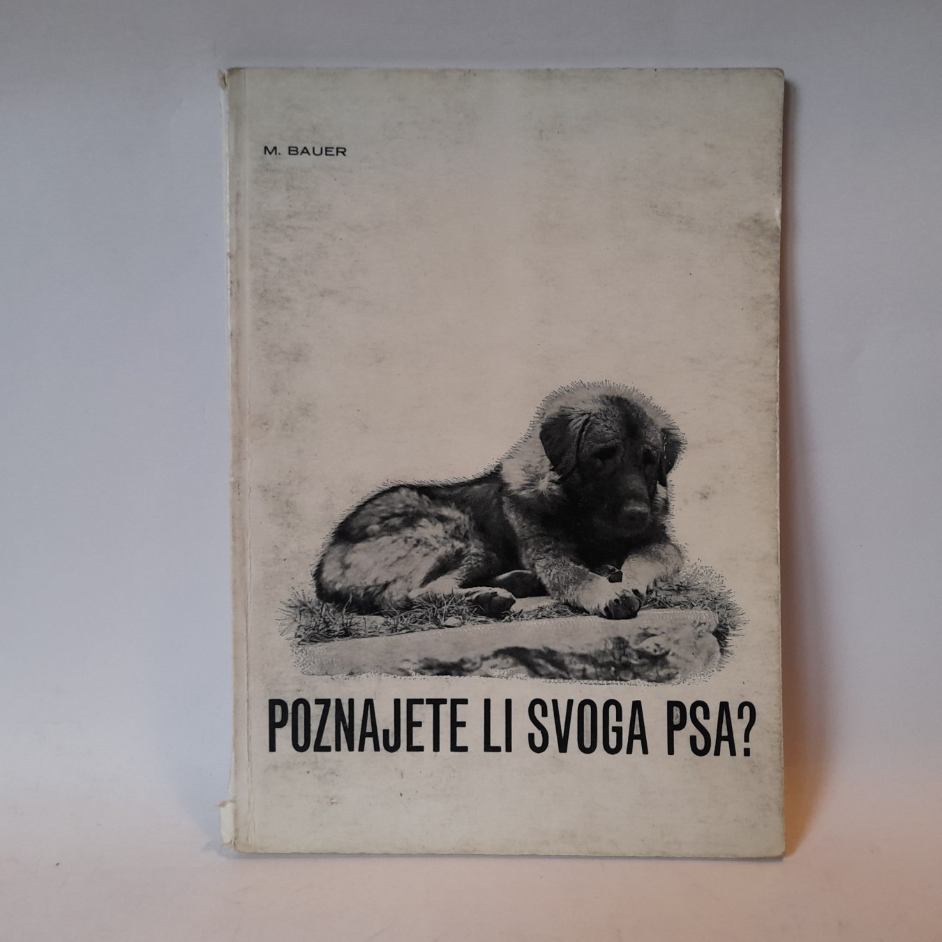 Poznajete li svog psa — Mario Bauer