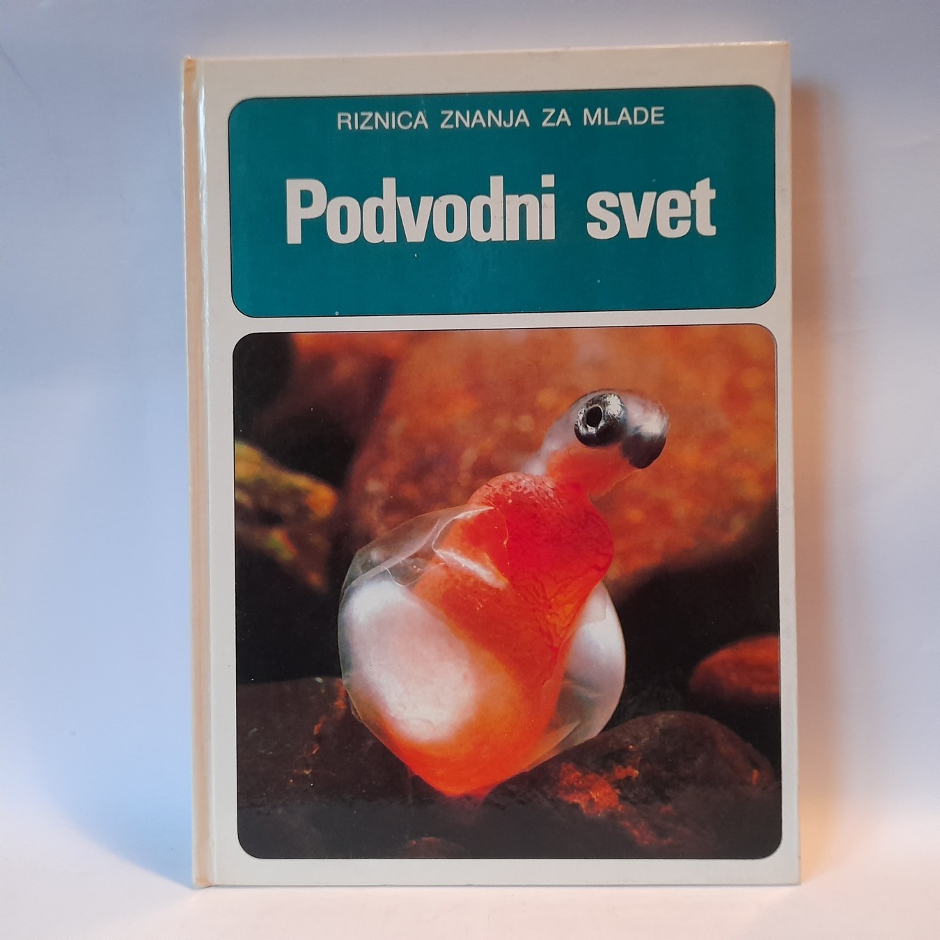 Podvodni svet, riznica znanja za mlade