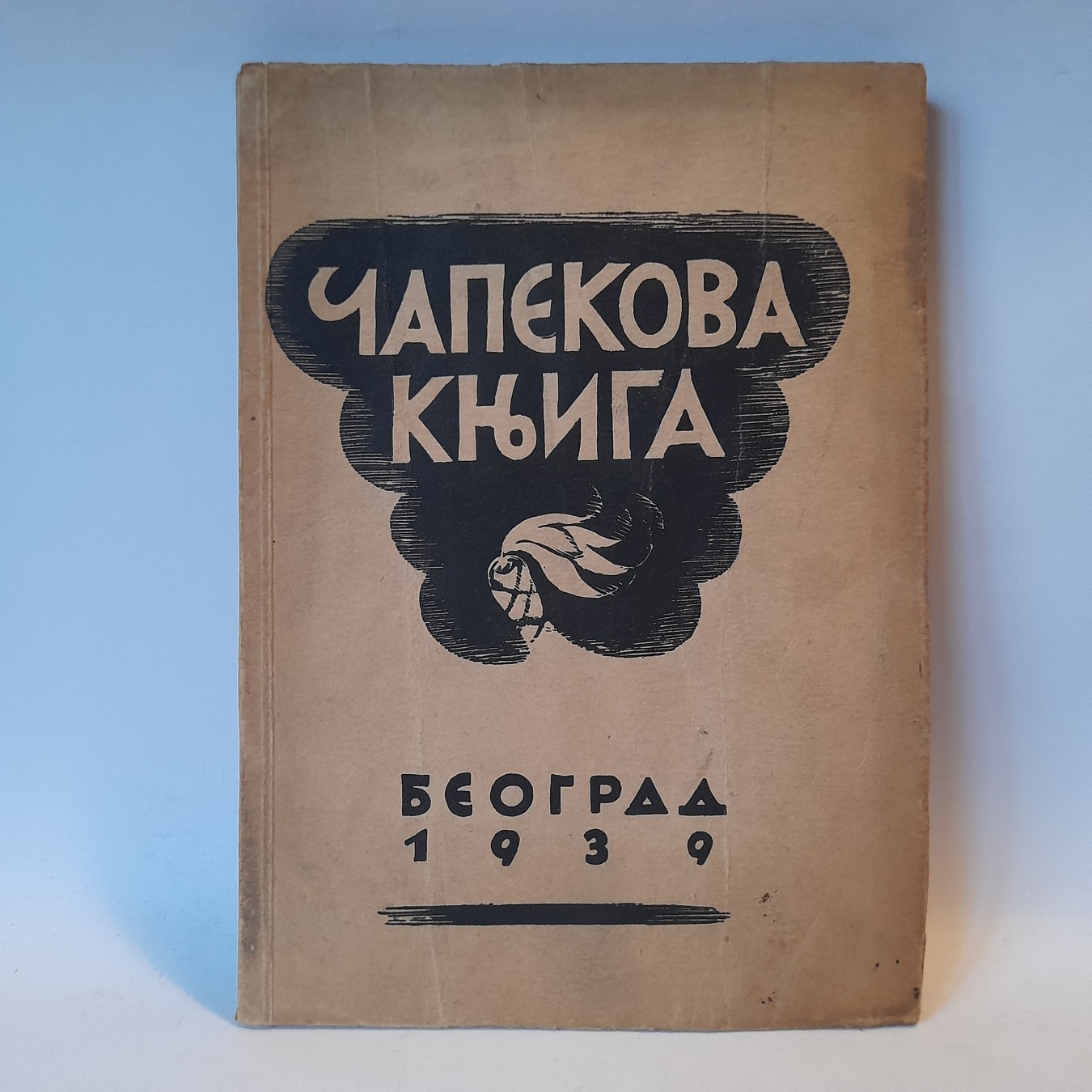 Čapekova knjiga — Krešimir Georgijević (uredio)