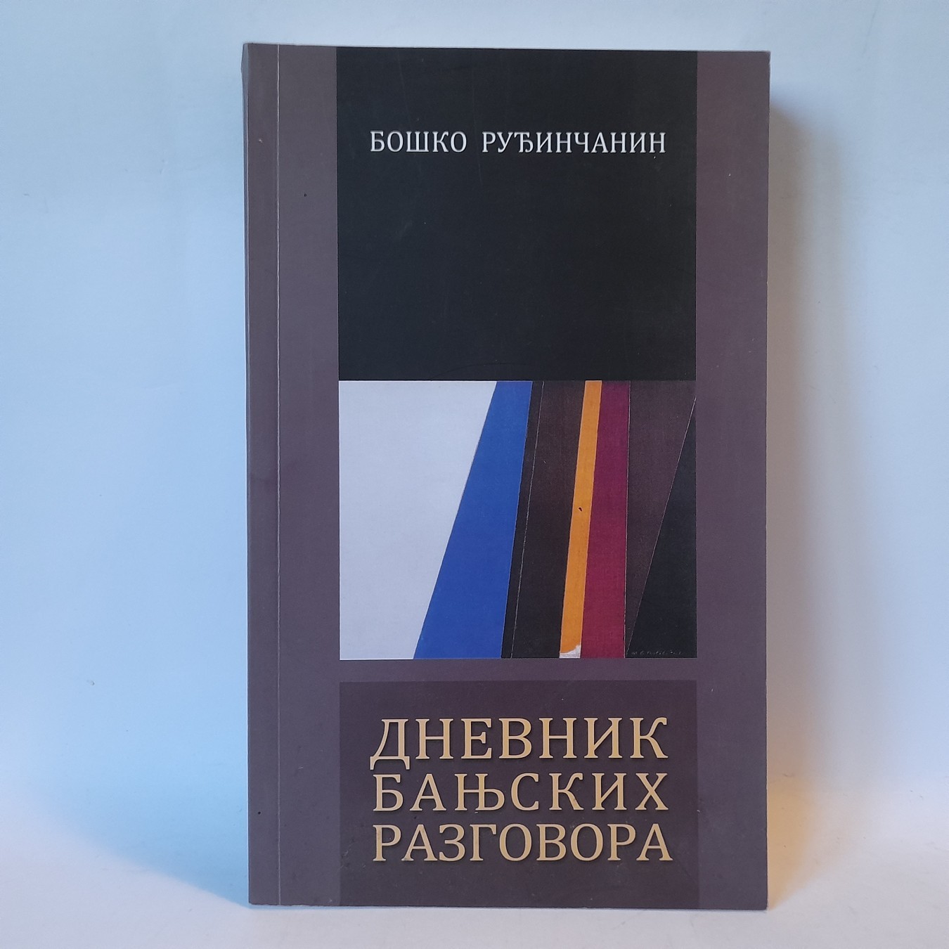 Dnevnik banjskih razgovora — Boško Ruđinčanin