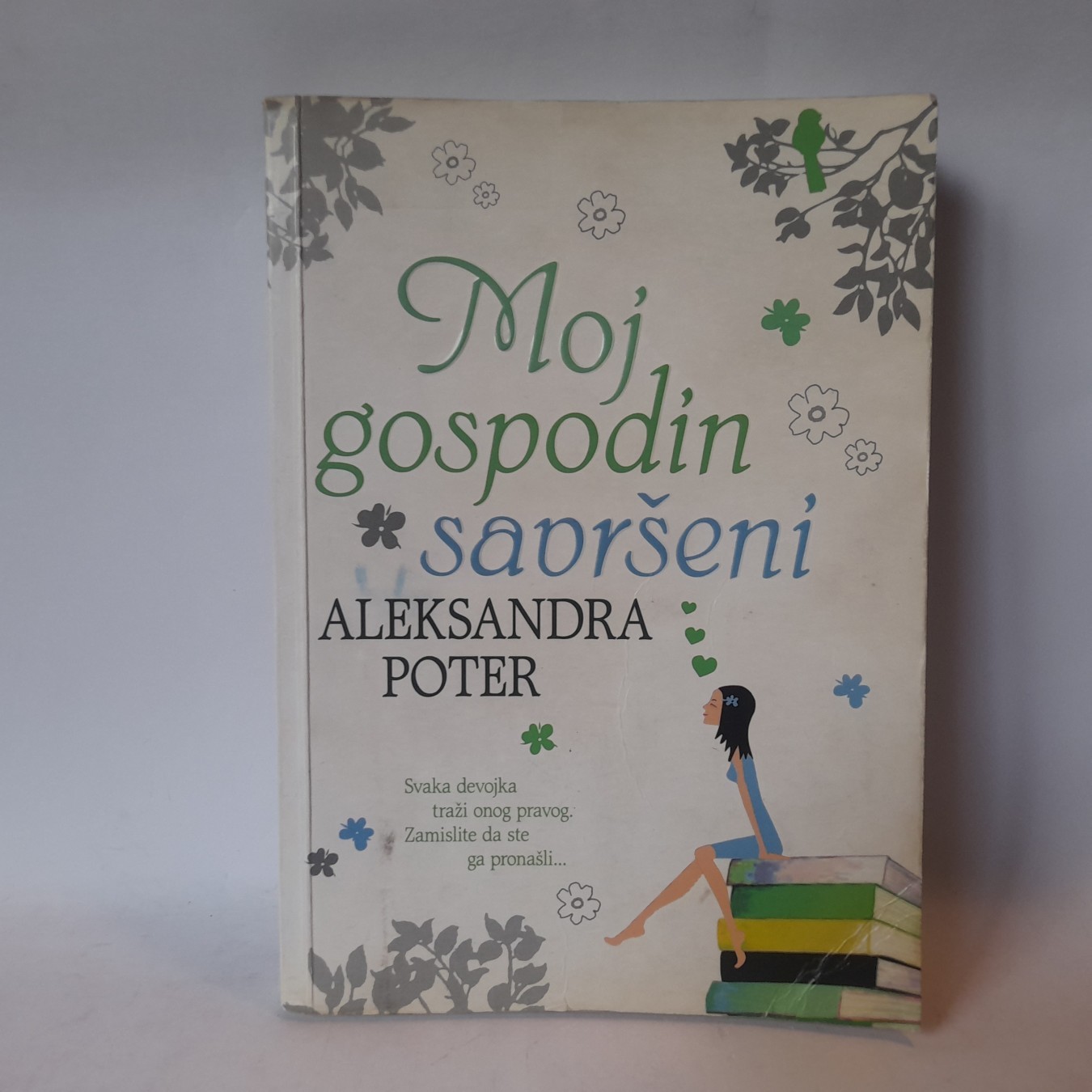 Moj gospodin savršeni — Aleksandra Porter