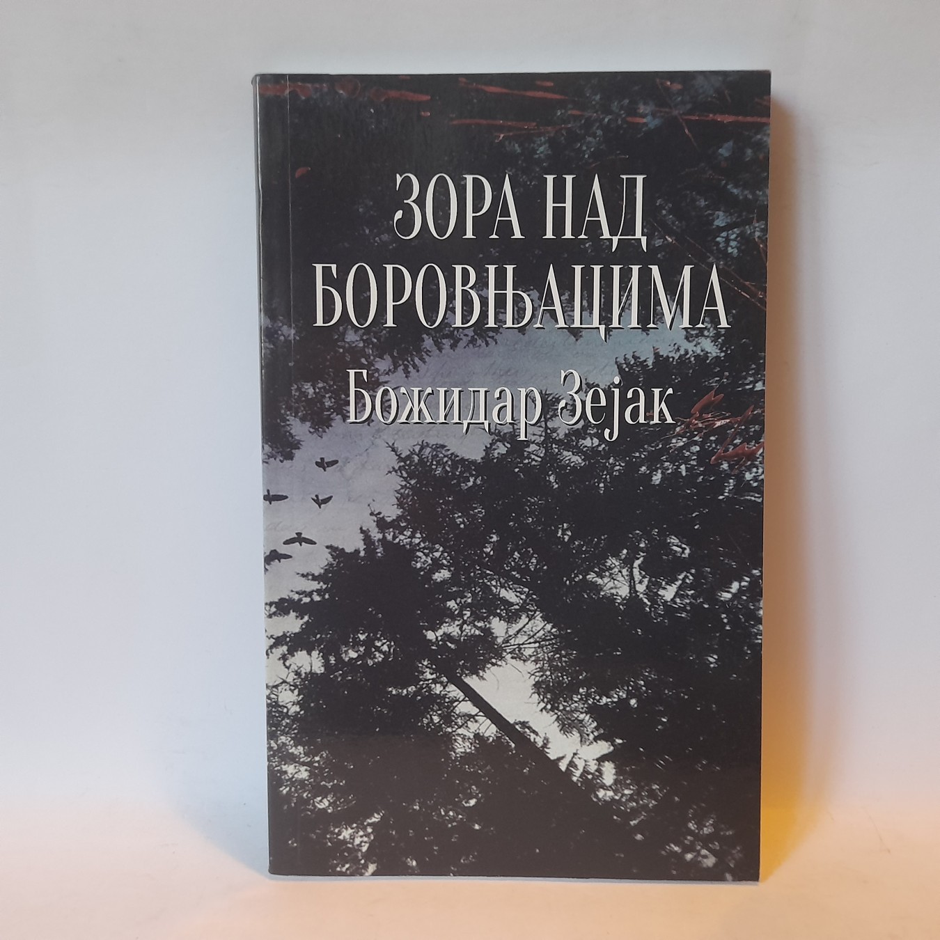 Zora nad borovnjacima — Božidar Zejak