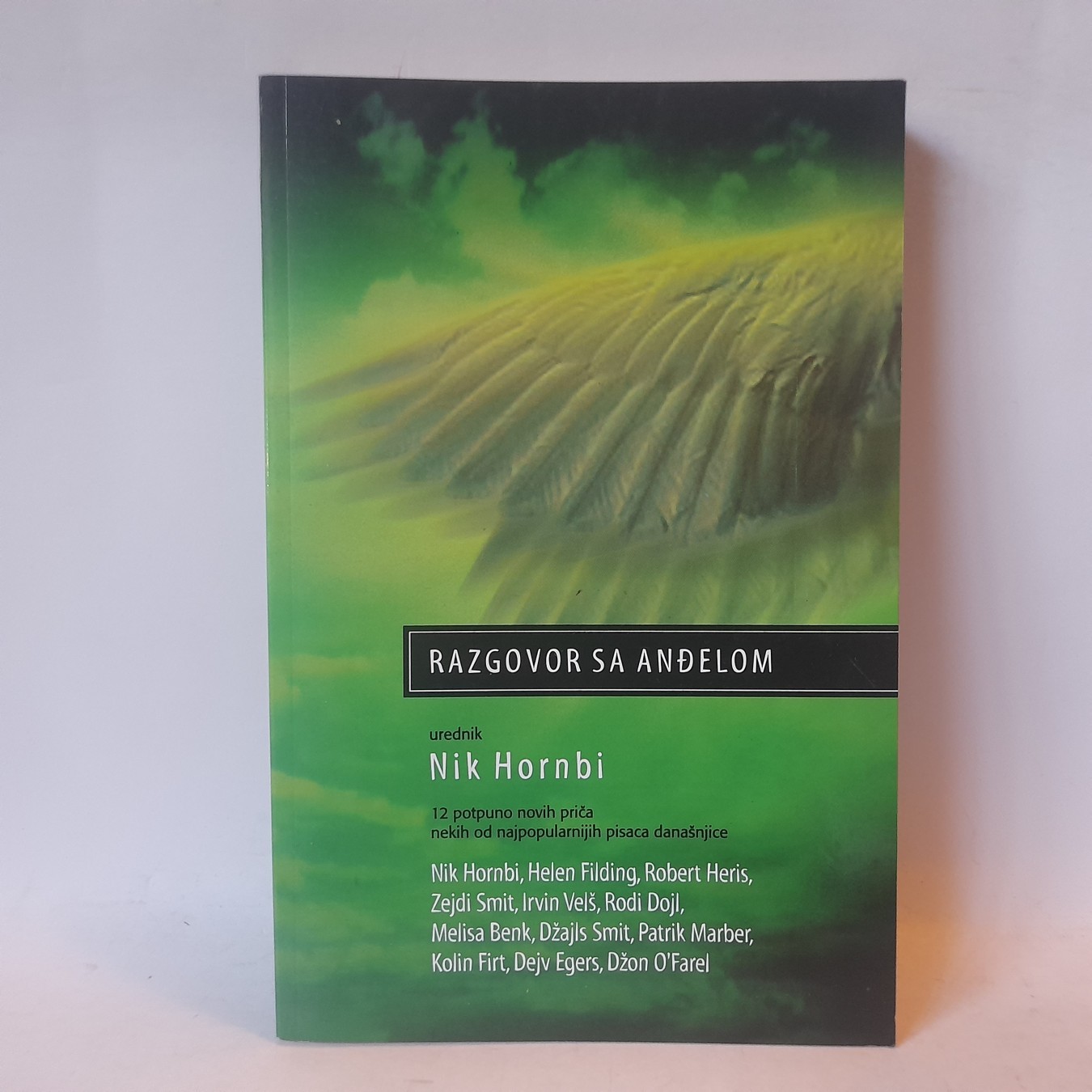 Razgovor sa anđelom — Nik Hornbi