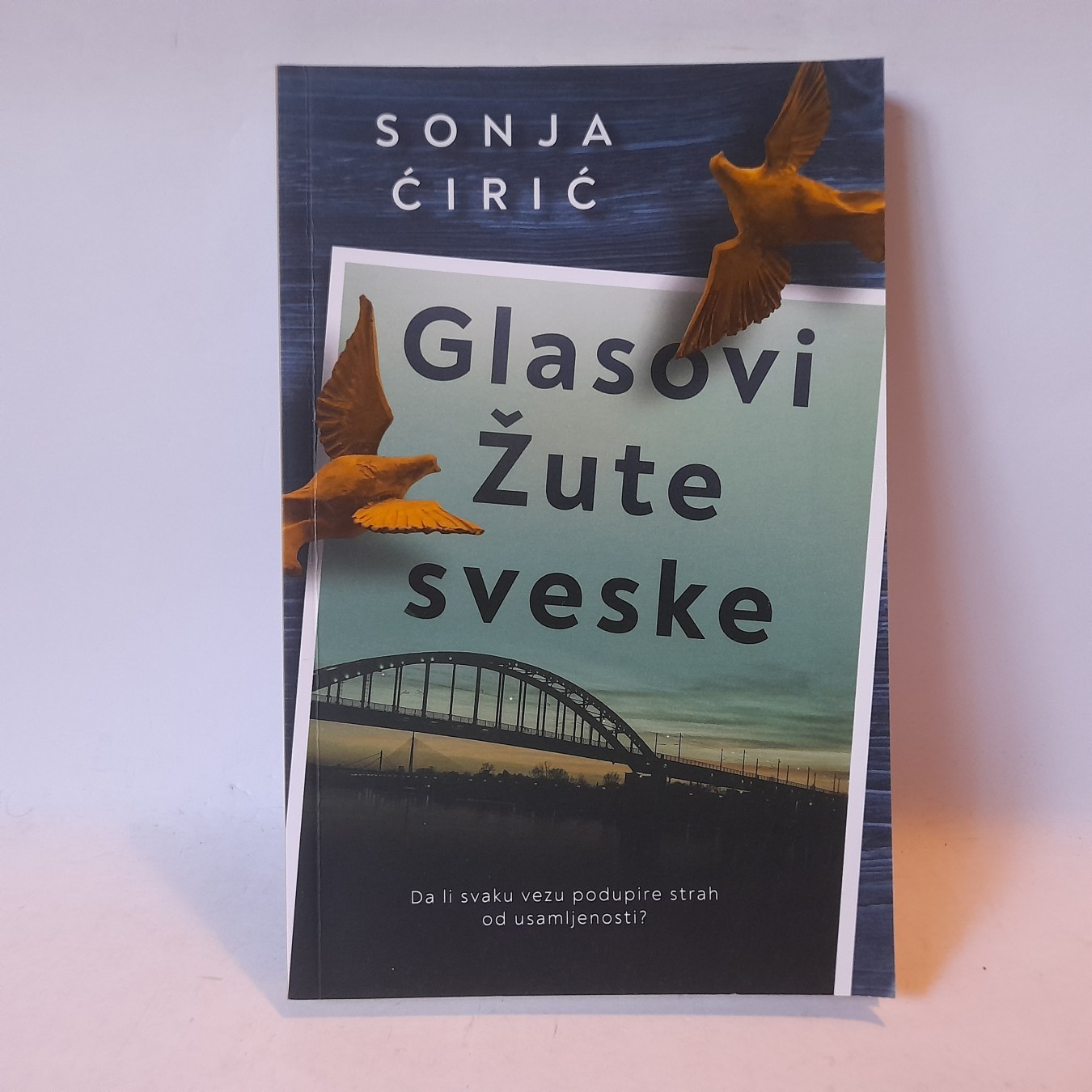 Glasovi žute sveske — Sonja Ćirić