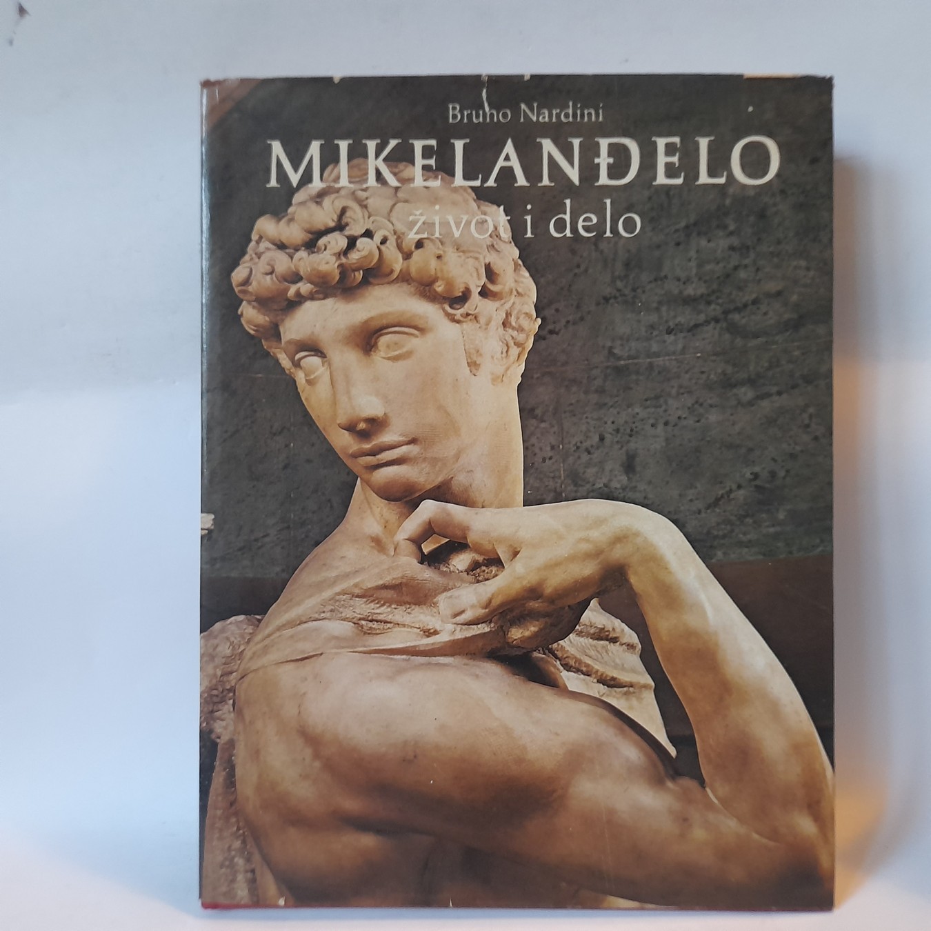 Mikelanđelo, život i delo — Bruno Nardini