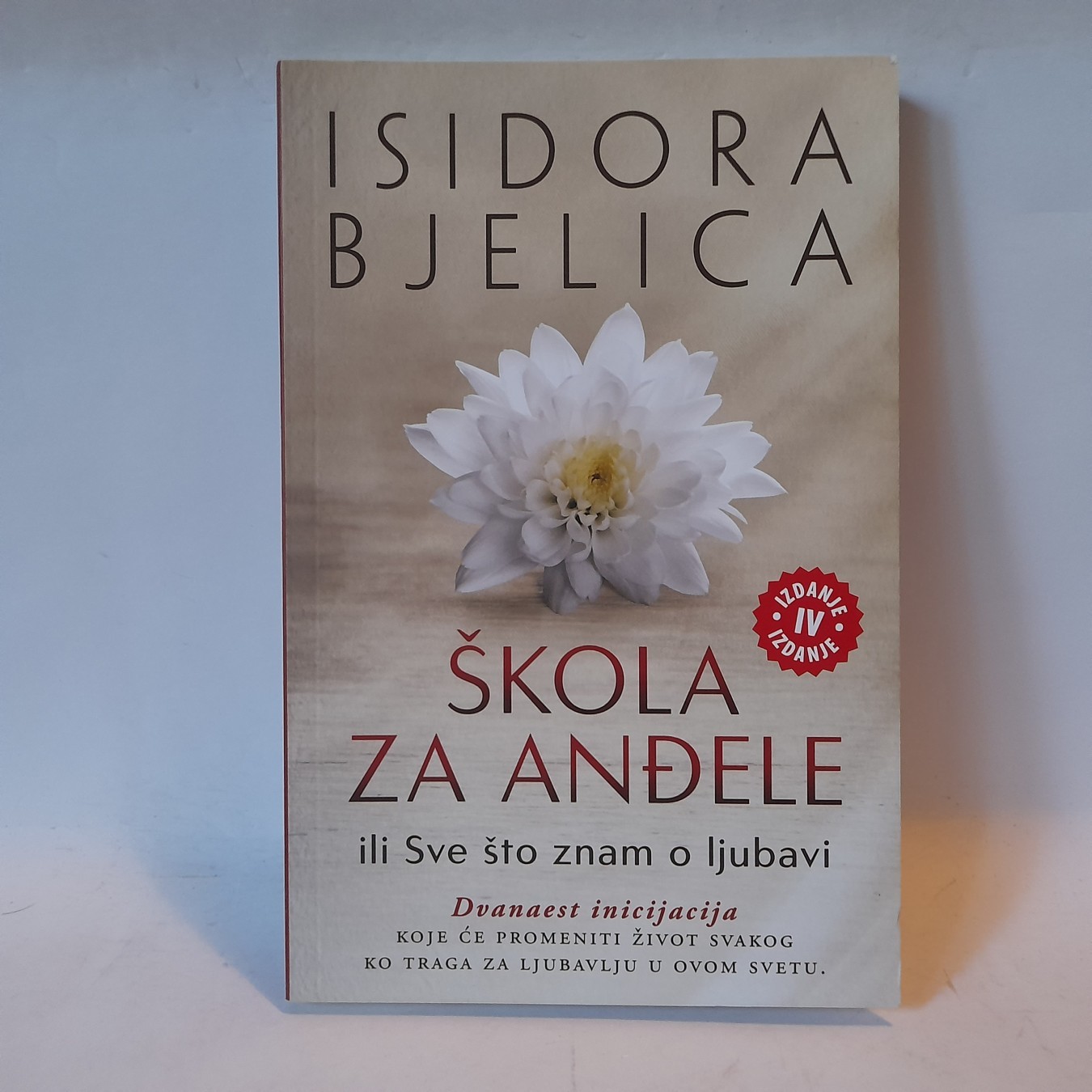 Škola za anđele — Isidora Bjelica