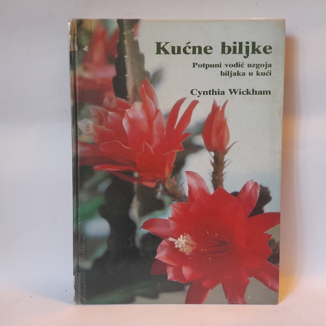 Kućne biljke — Sintija Vikam