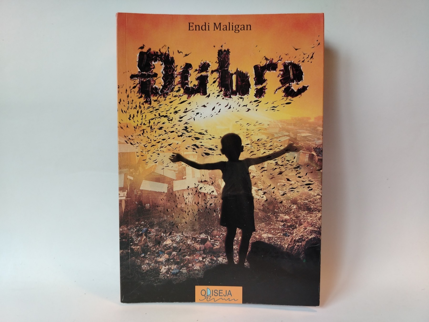 Đubre — Andy Mulligan