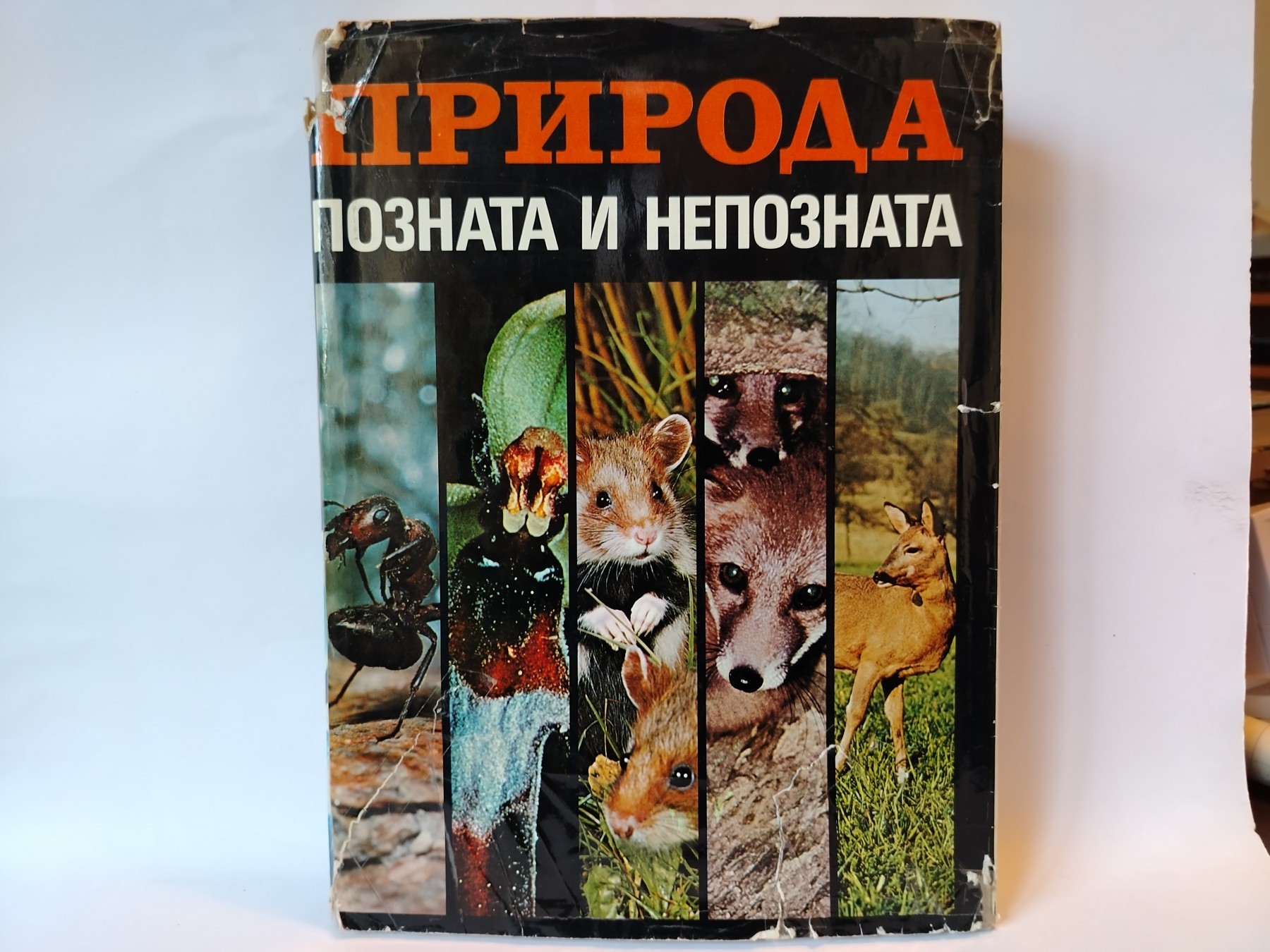 Priroda poznata i nepoznata — K. E. Grebner