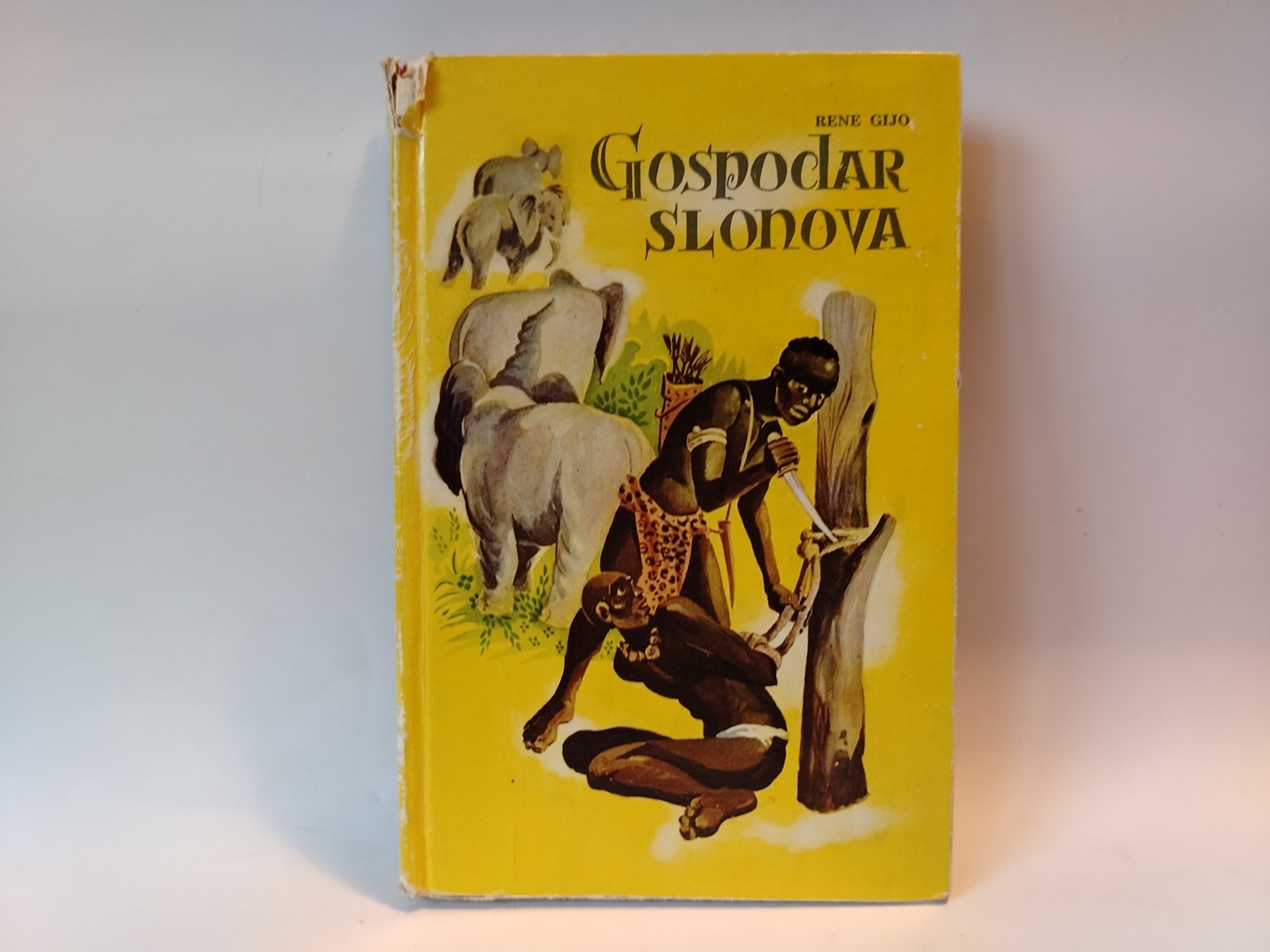 Gospodar slonova — René Guillot