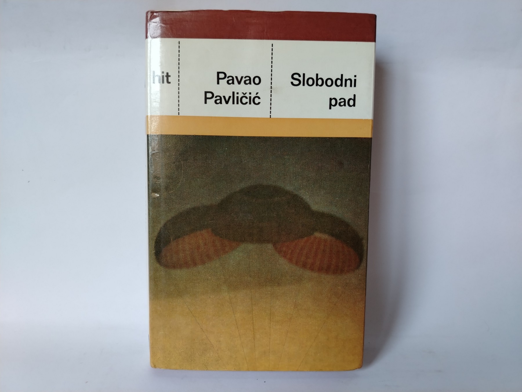 Slobodni pad — Pavao Pavličić