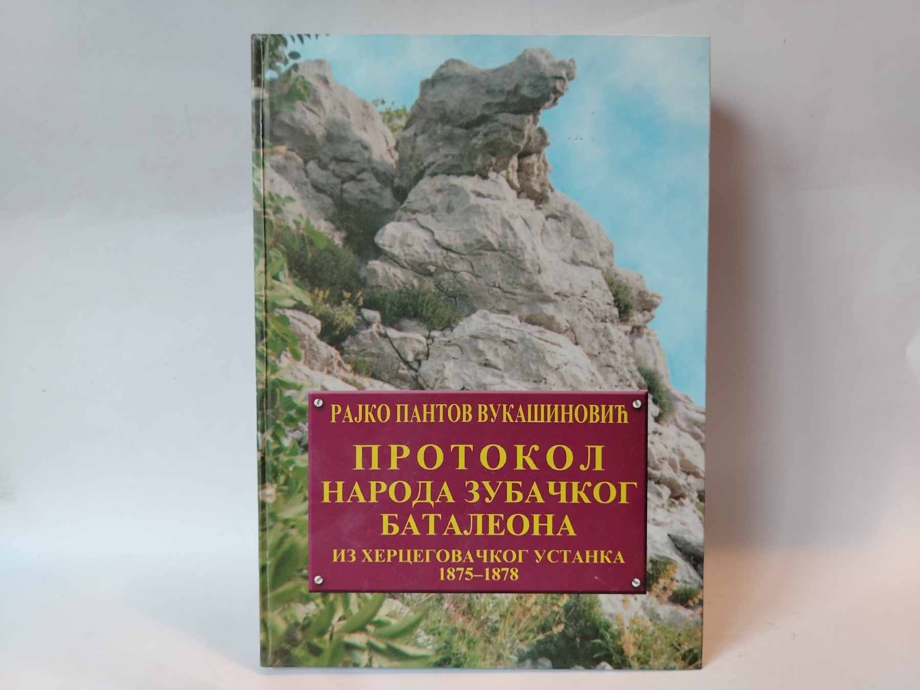 Protokol naroda zubačkog — Rajko Pantov Vukašinović