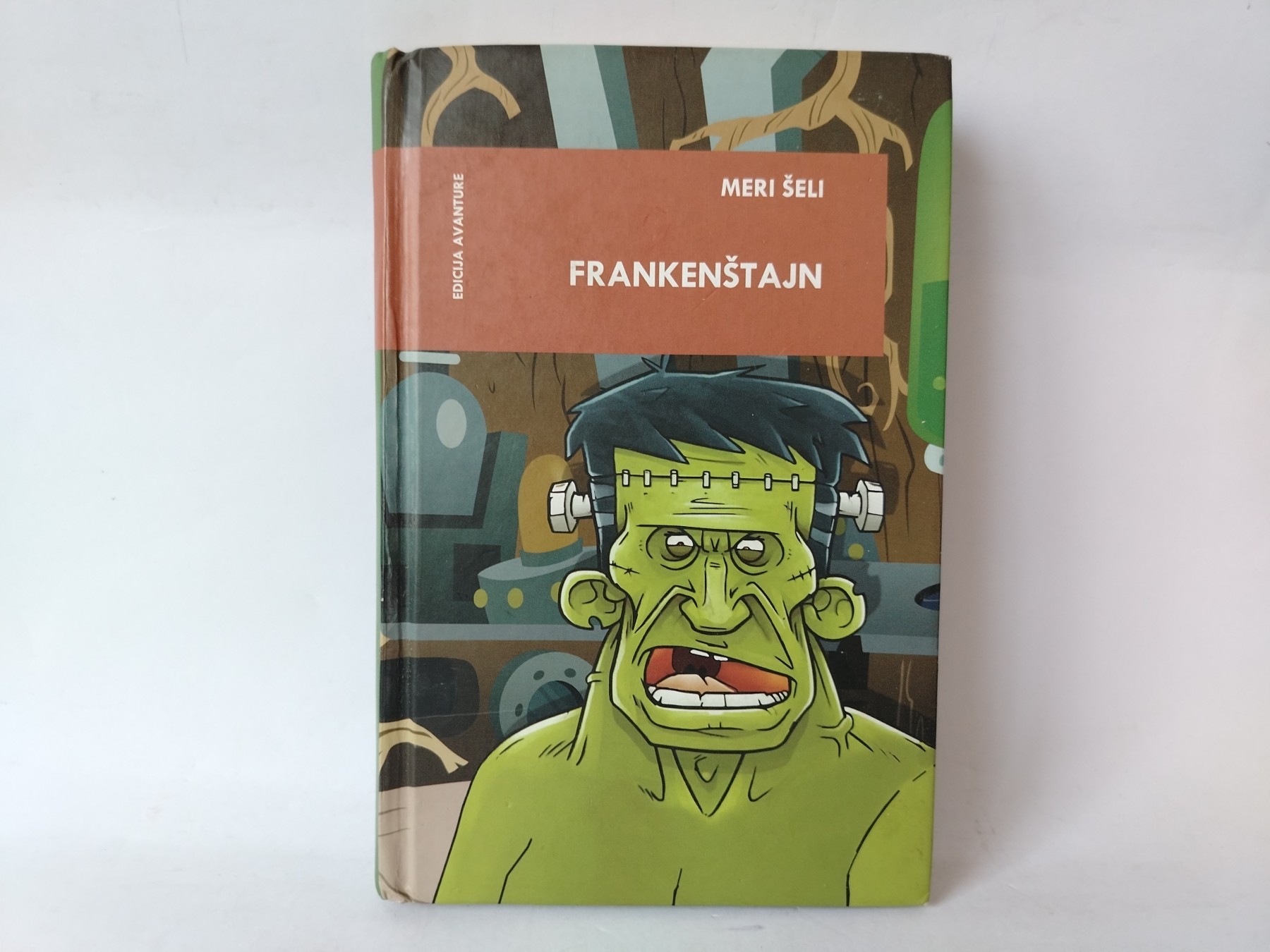 Frankenštajn — Meri Šeli