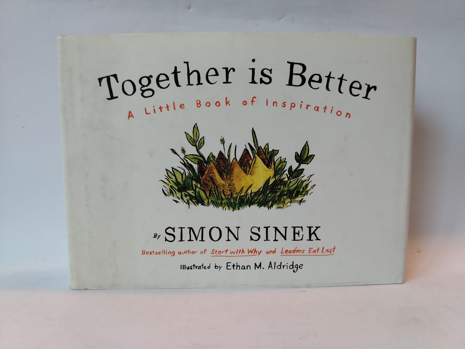 Together is Better: A Little Book of Inspiration — Simon Sinek