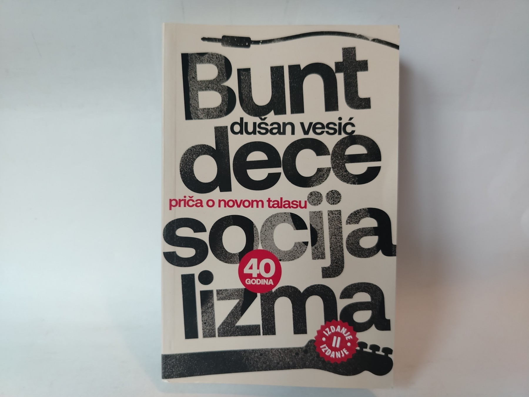 Bunt dece socijalizma — Dušan Vesić