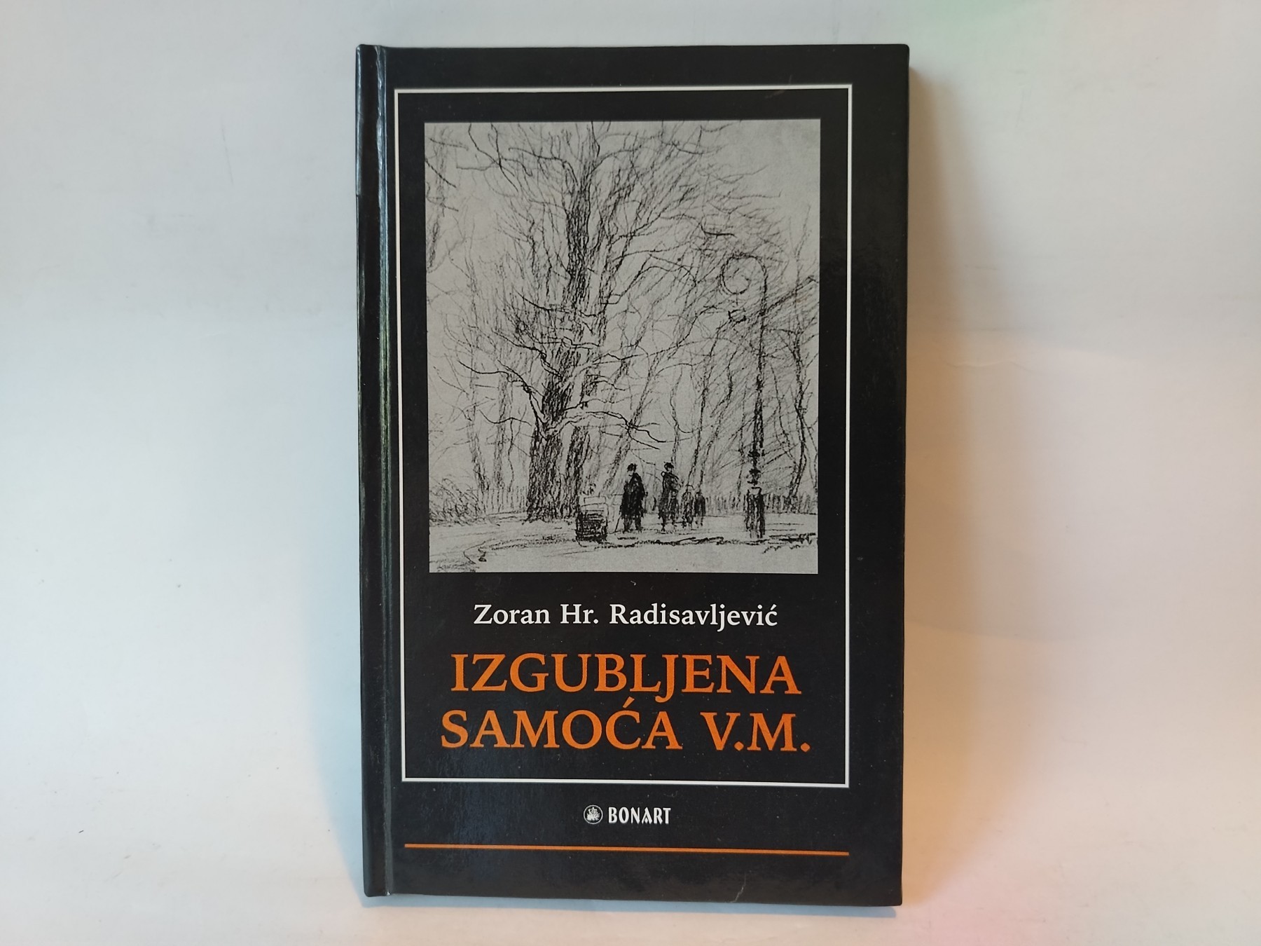 Izgubljena samoća V.M. — Zoran Hr. Radisavljević
