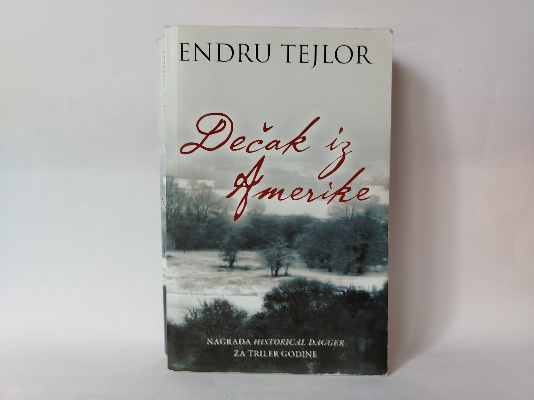 Dečak iz amerike — Endrju Tejlor