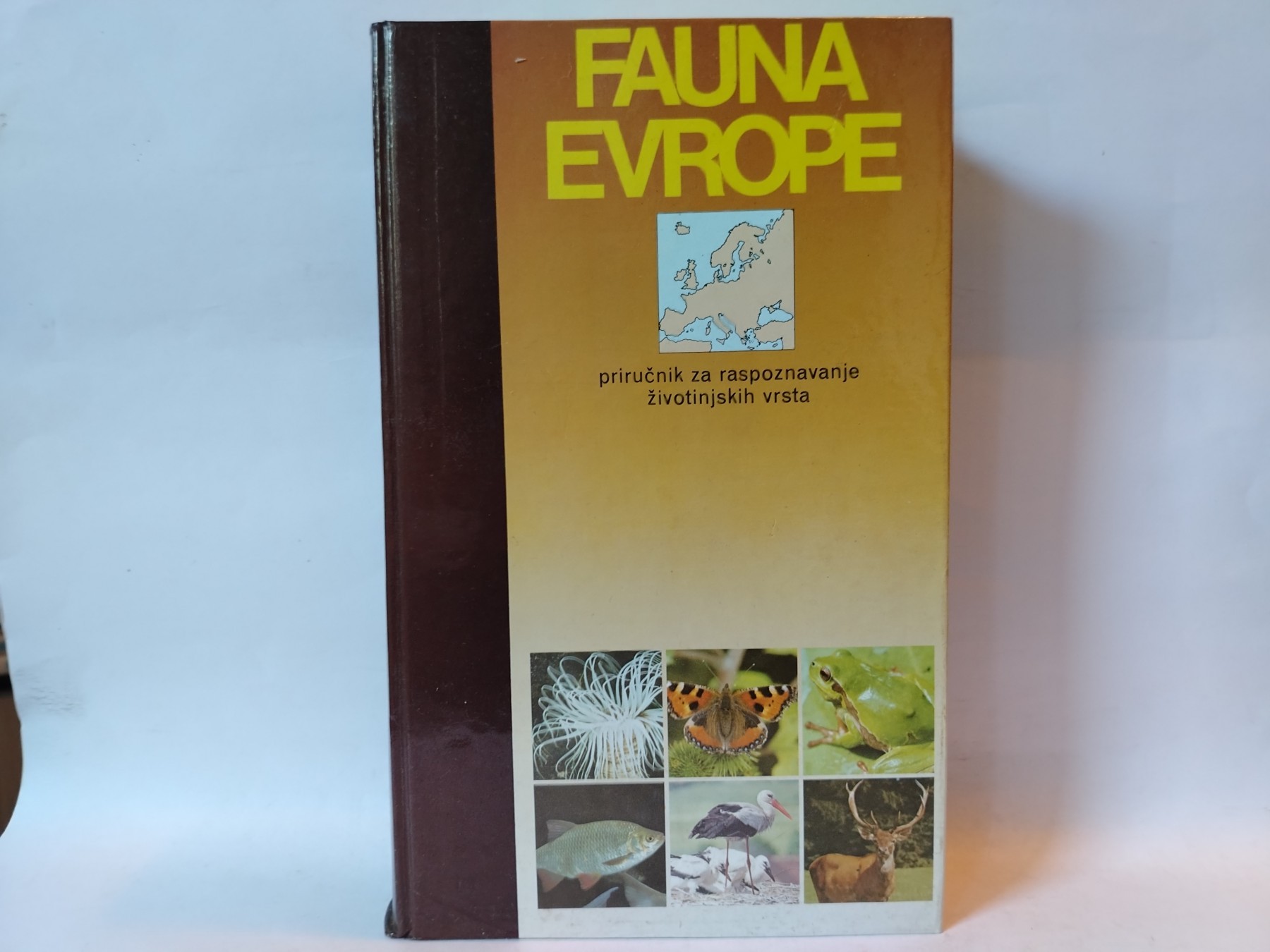 FAUNA EVROPE Priručnik za određivanje životinskih vrsta — Grupa autora