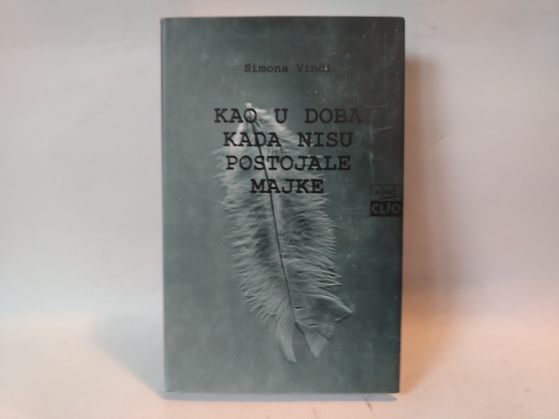 Kao u doba kada nisu postojale majke — Simona Vinči