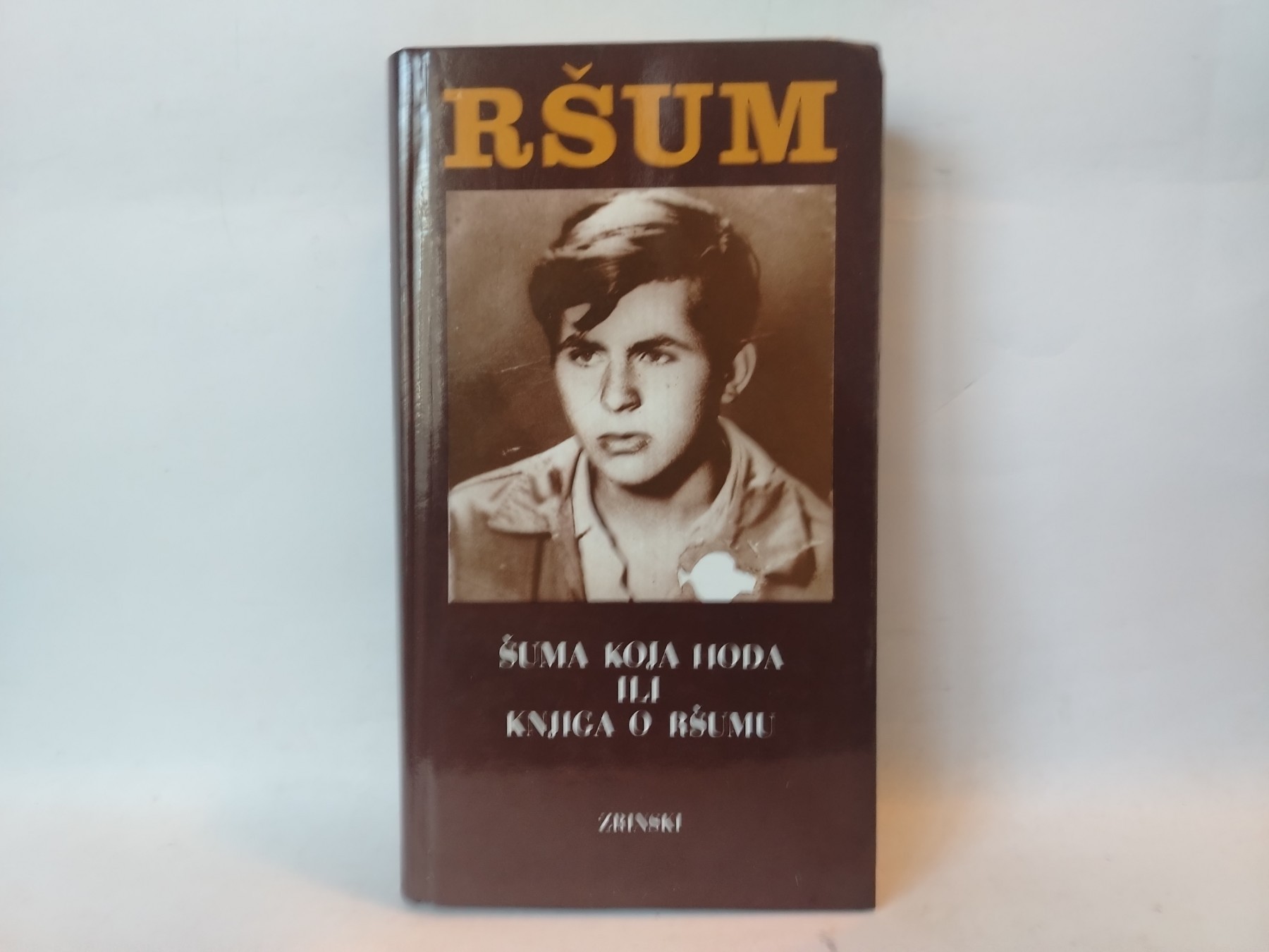 RŠUM / Šuma koja hoda ili knjiga o Ršumu — Više autora