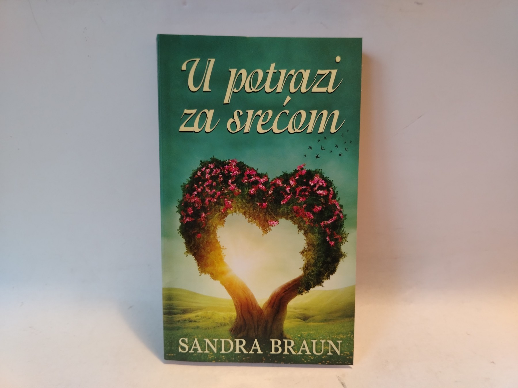 U potrazi za srećom — Sandra Braun