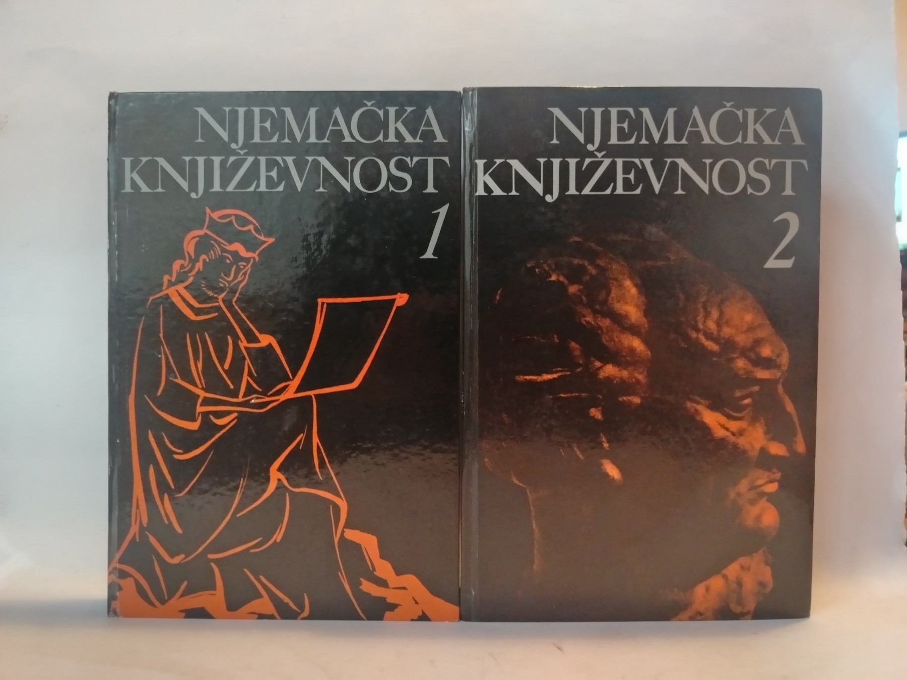 Njemačka književnost — Zoran Konstantinović