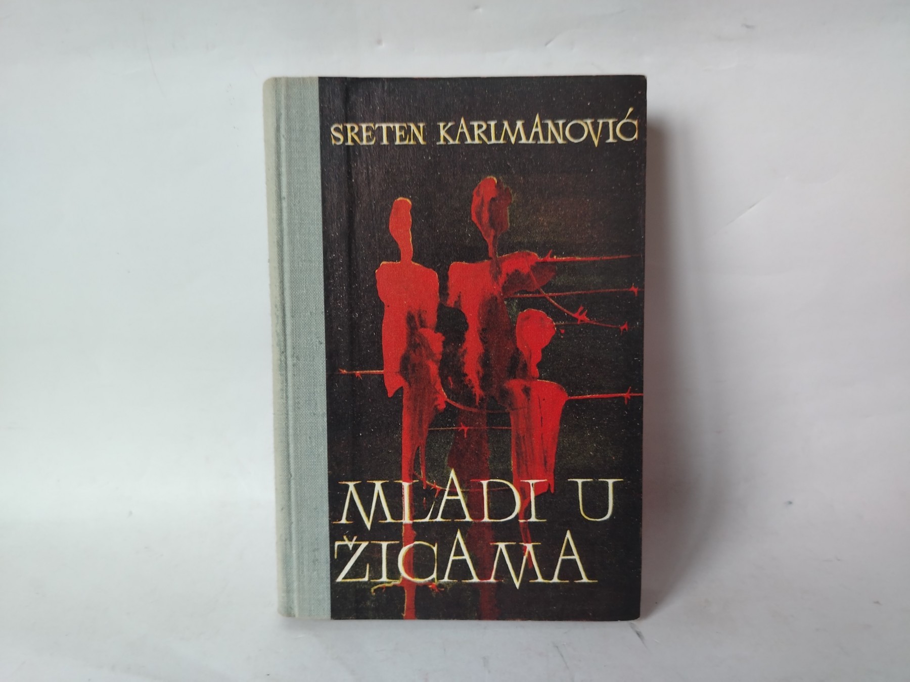 Ratnici protiv špijuna — Bora Čuškar