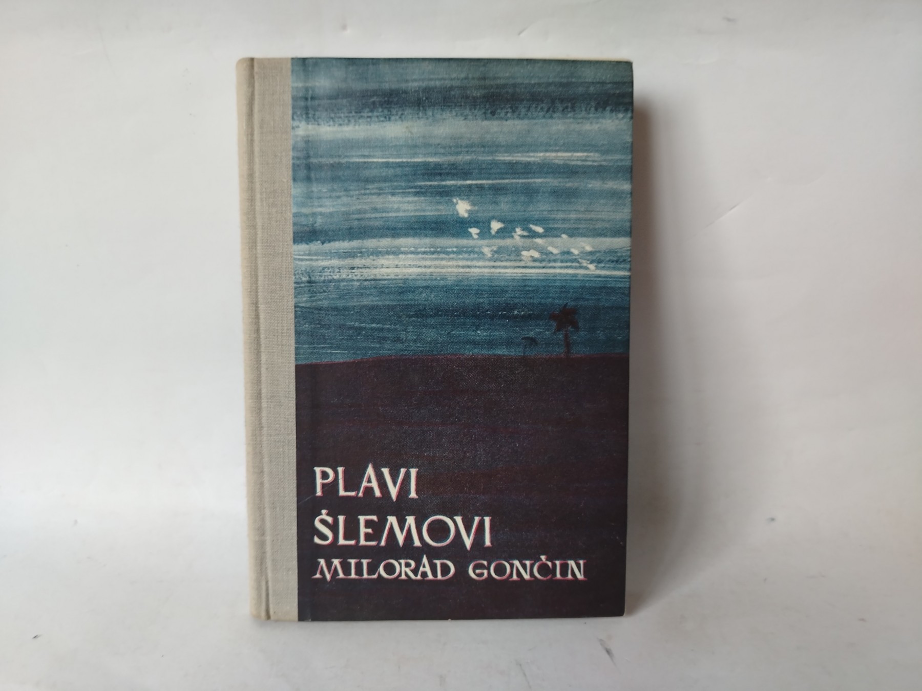 Plavi šlemovi — Milorad Gončin