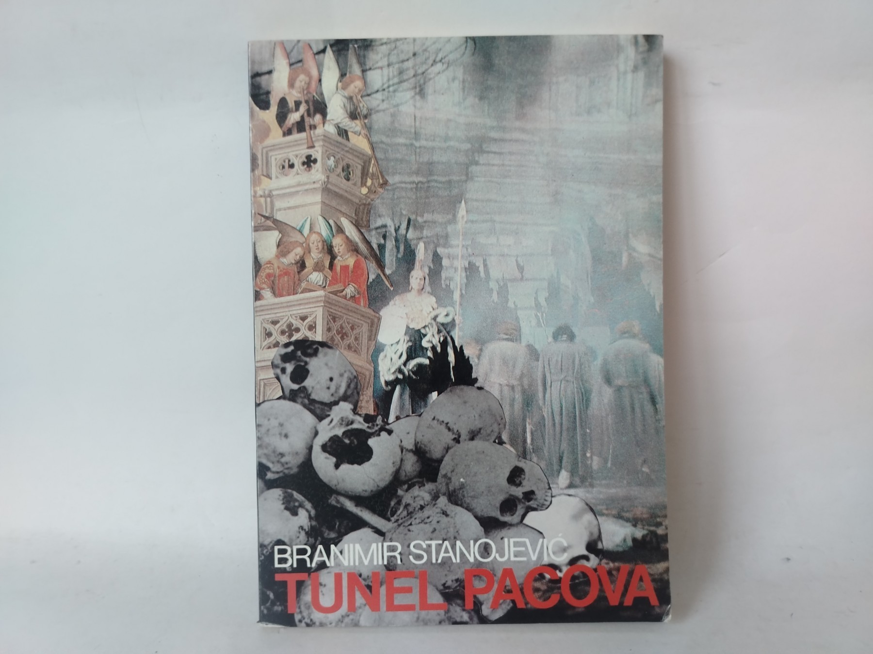 Tunel pacova — Branimir Stanojević