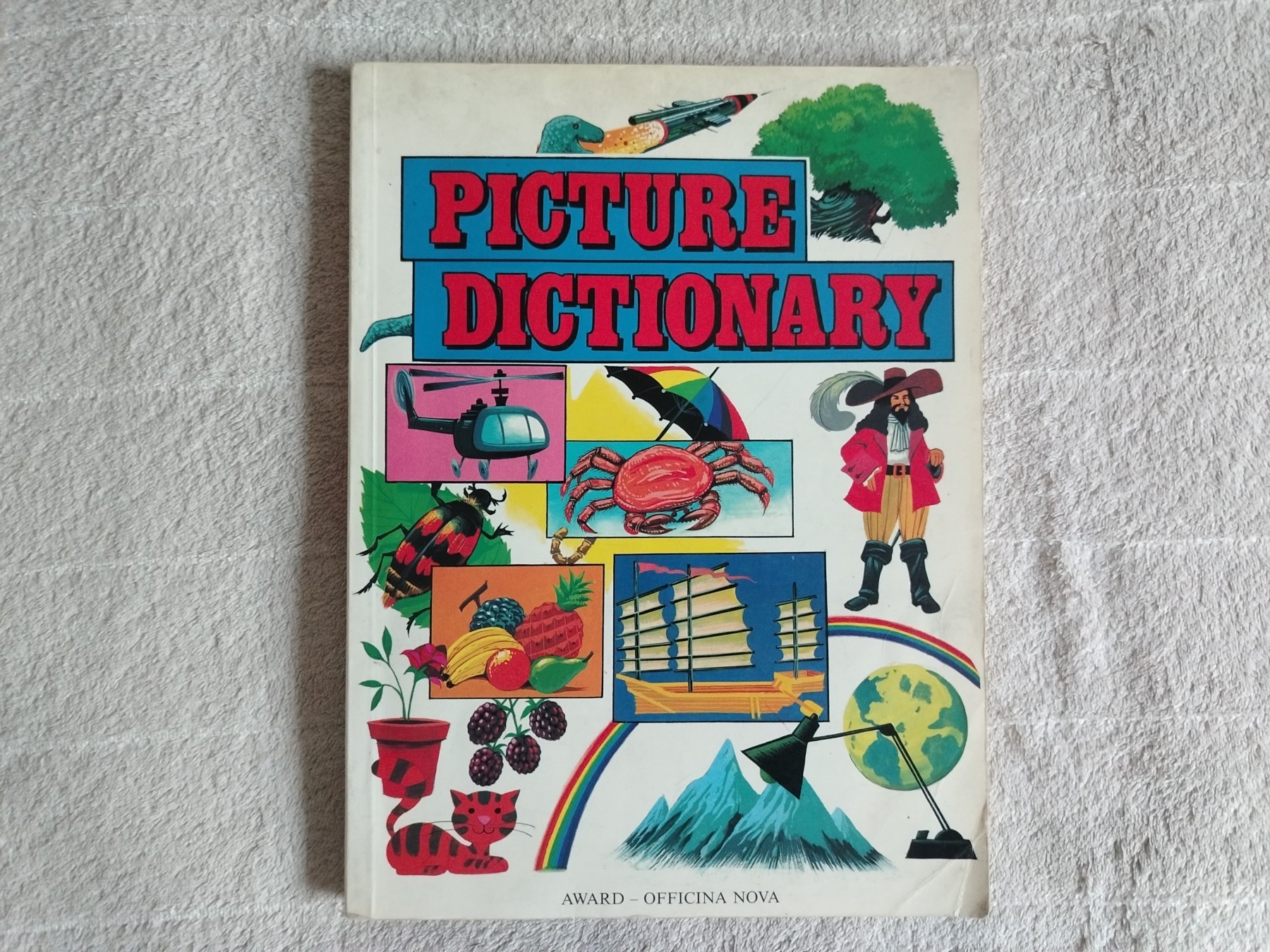 Picture Dictionary — Grupa autora