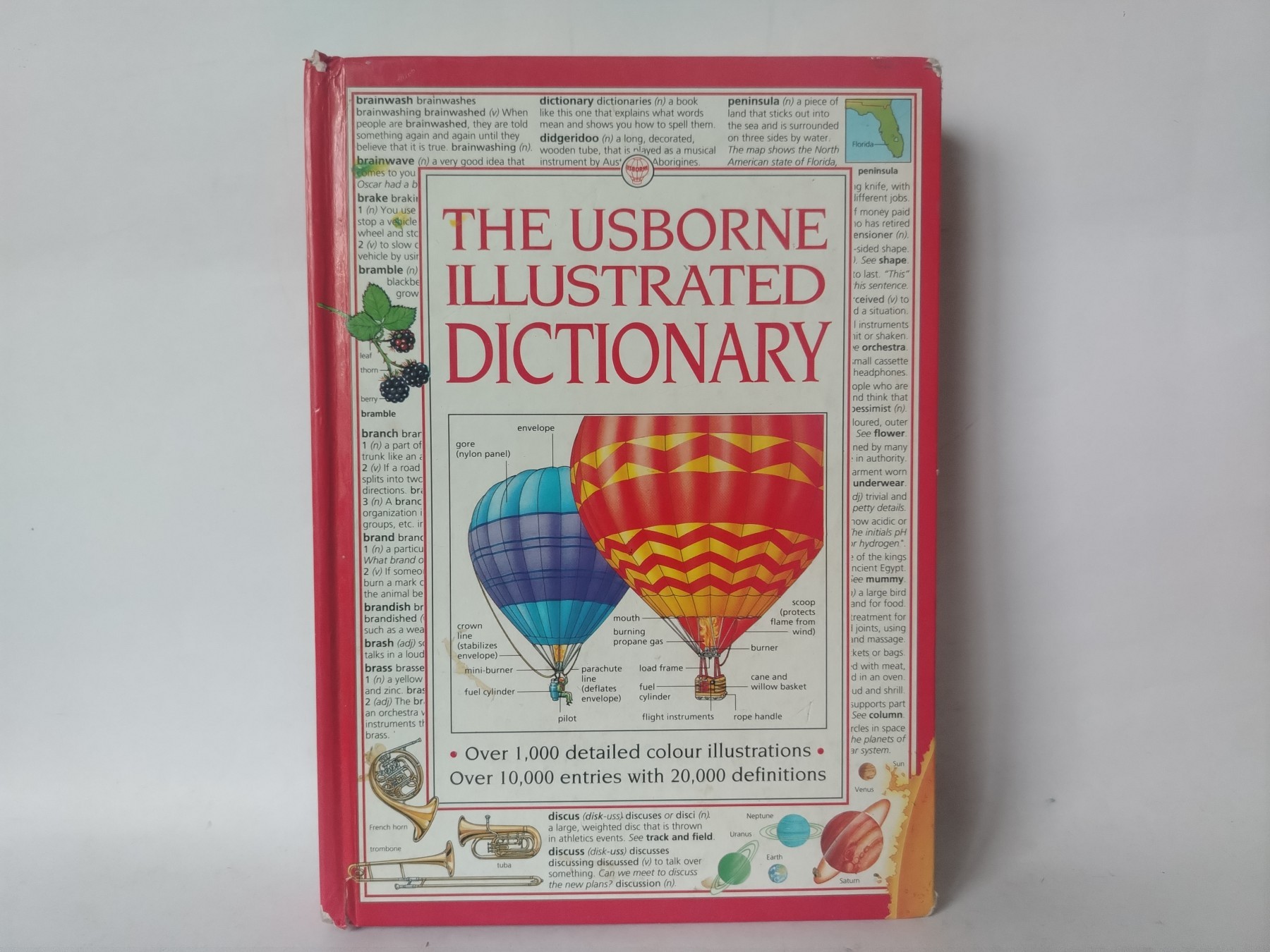 Usborne Illustrated Dictionary — Džejn M. Bingam