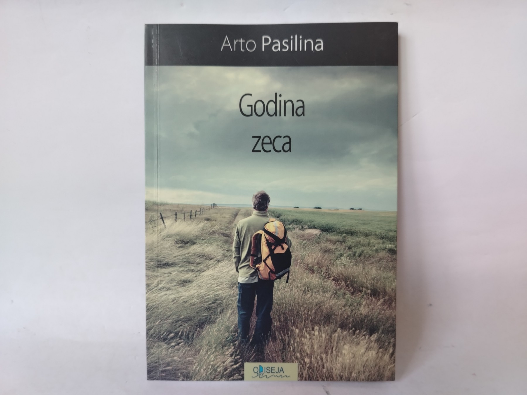 Godina zeca — Arto Pasilina
