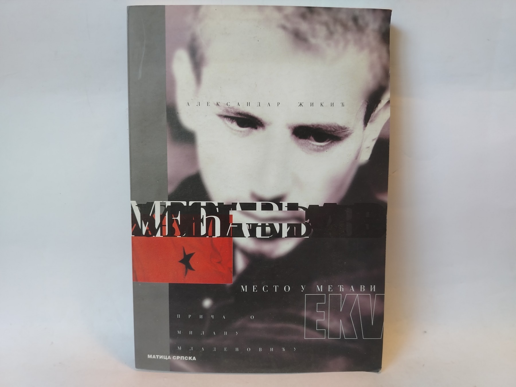 Ekv mesto u mećavi — Aleksandar Žikić