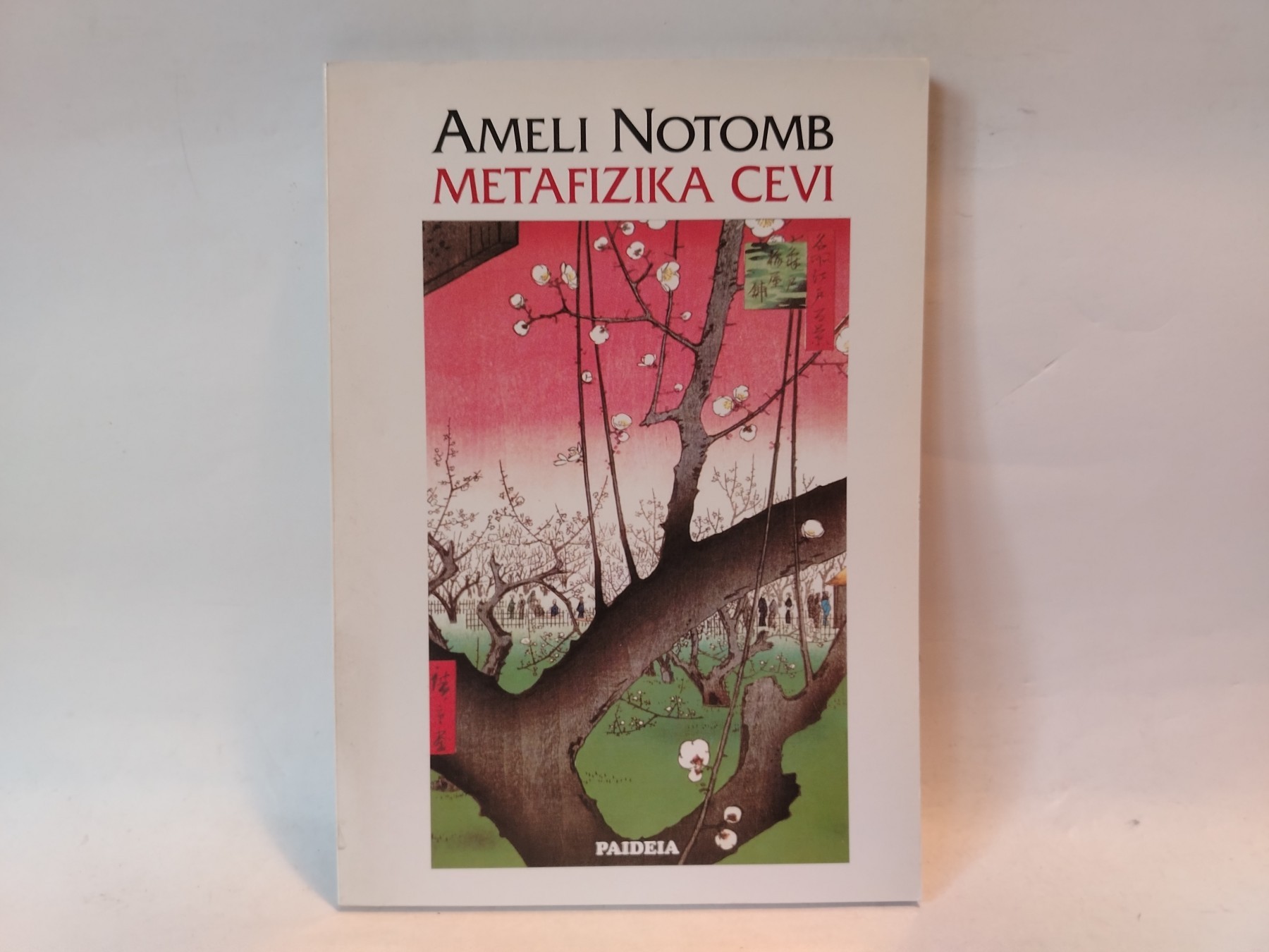Metafizika cevi — Ameli Notomb
