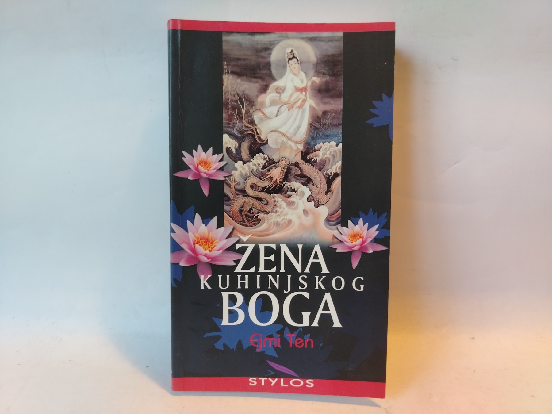 Žena kuhinjskog boga — Ejmi Ten