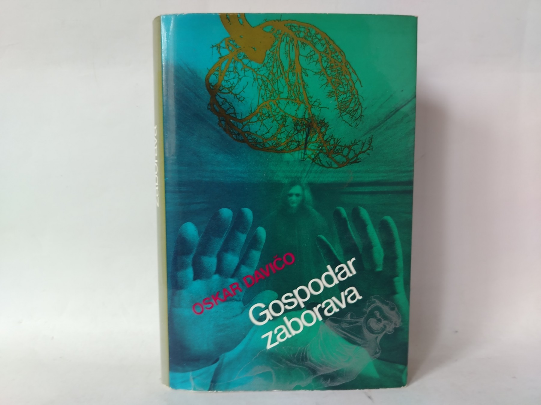 Gospodar zaborava — Oskar Davičo
