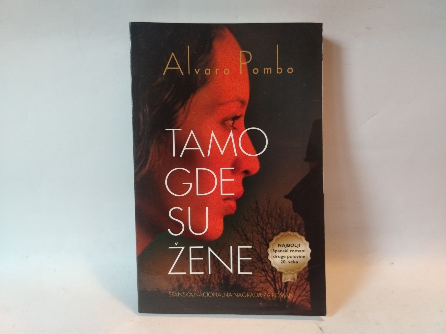 Tamo gde su žene — Alvaro Pombo