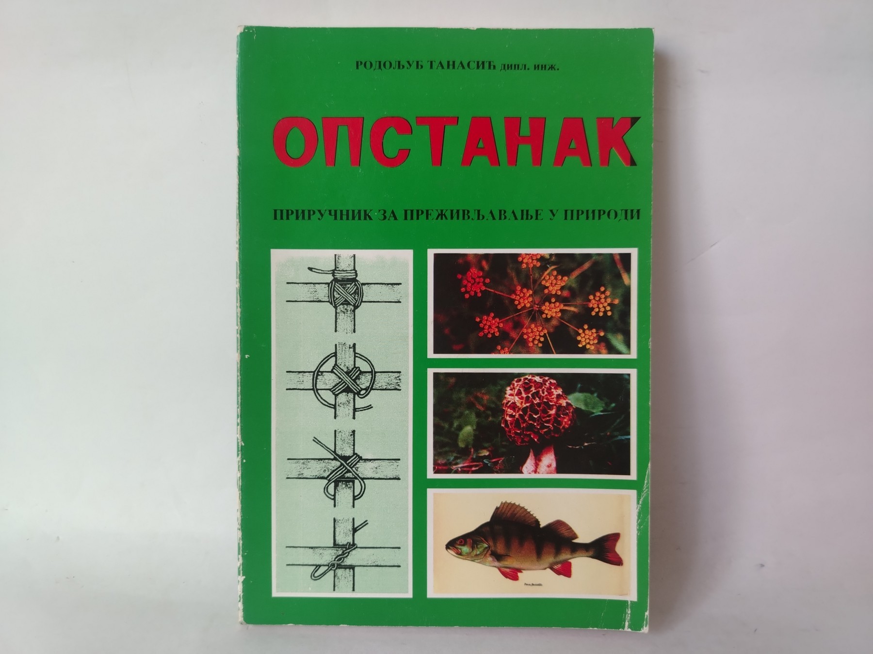 Opstanak — Rodoljub Tanasić