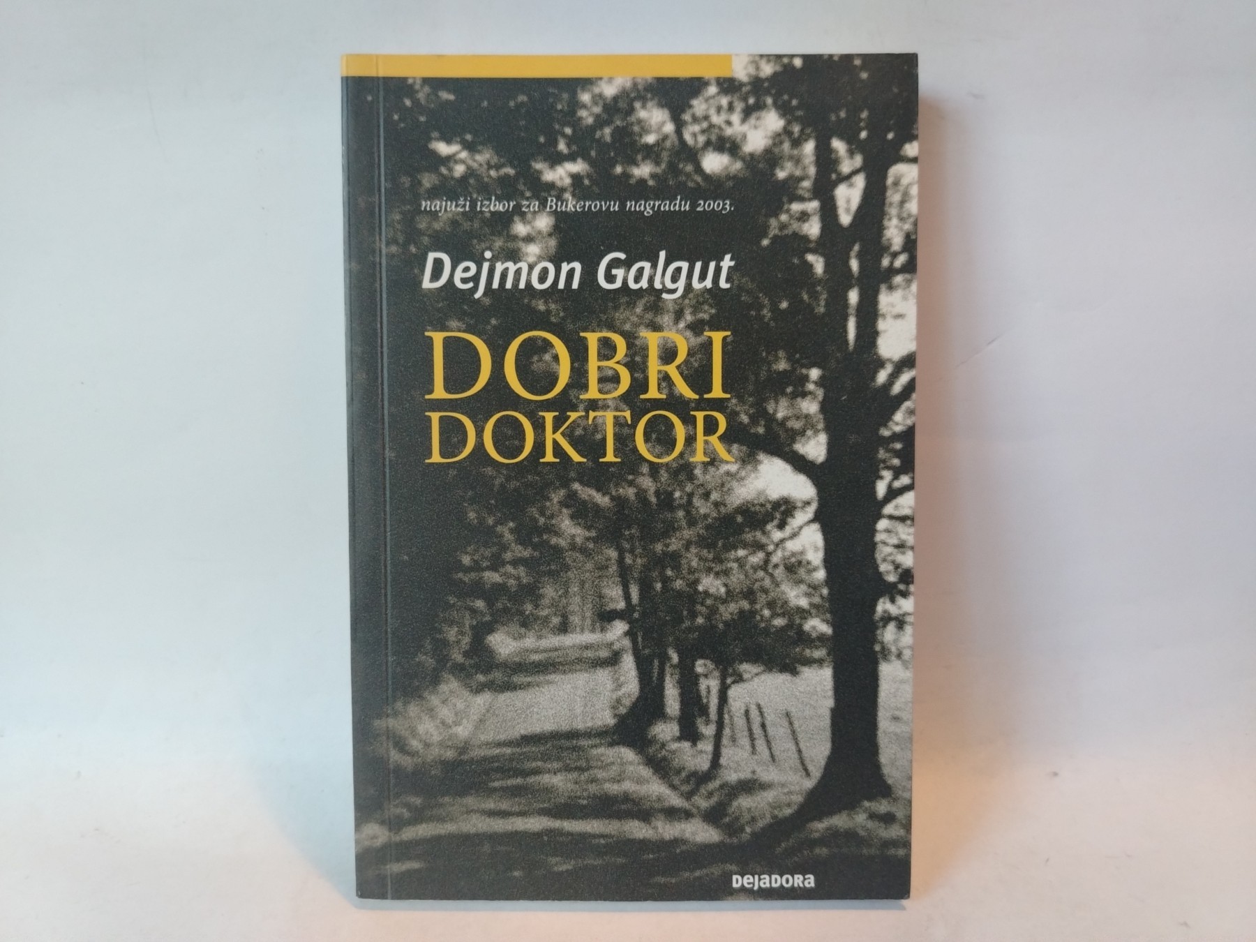 Dobri doktor — Dejmon Galgut