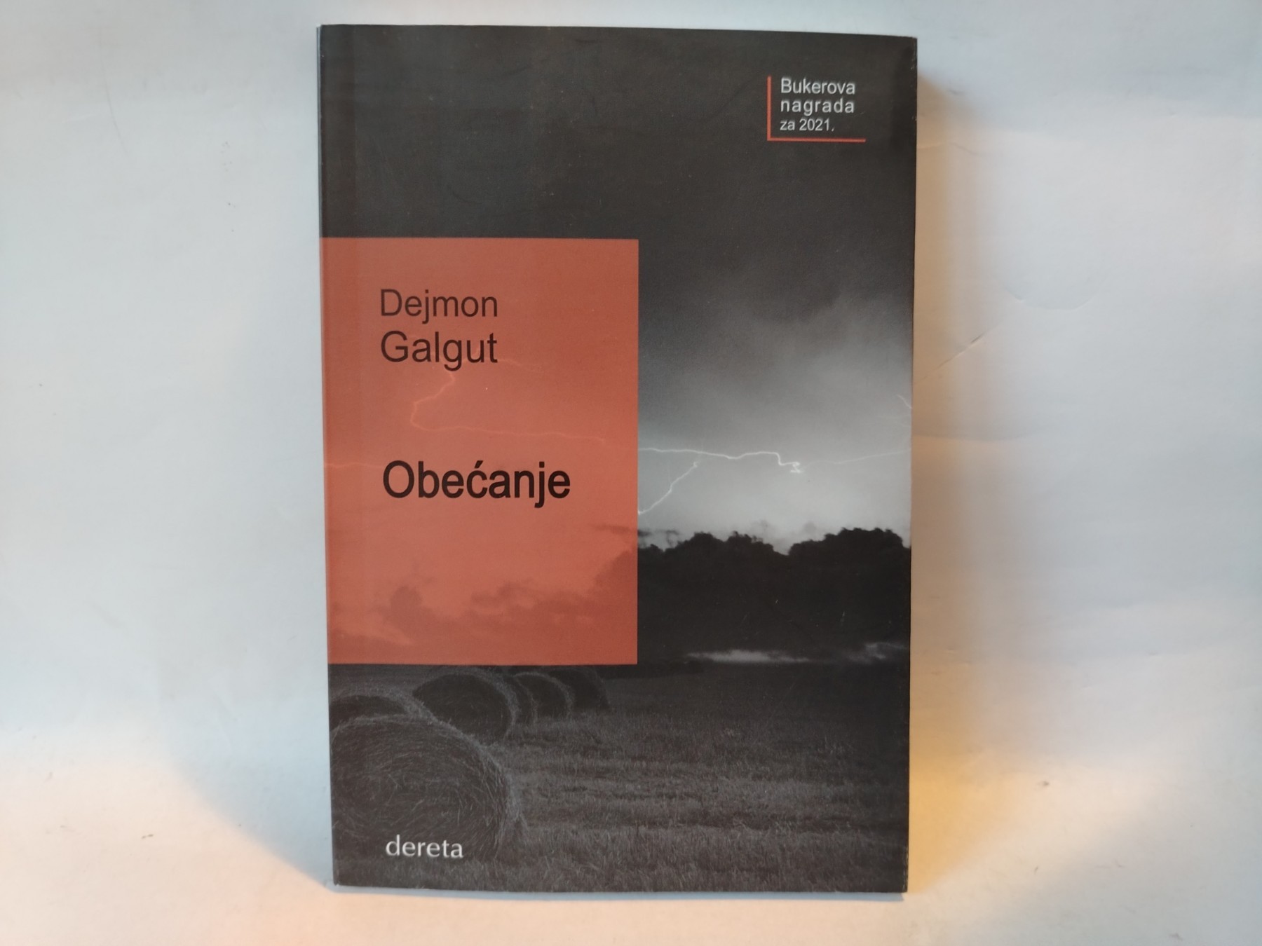 Obećanje — Dejmon Galgut