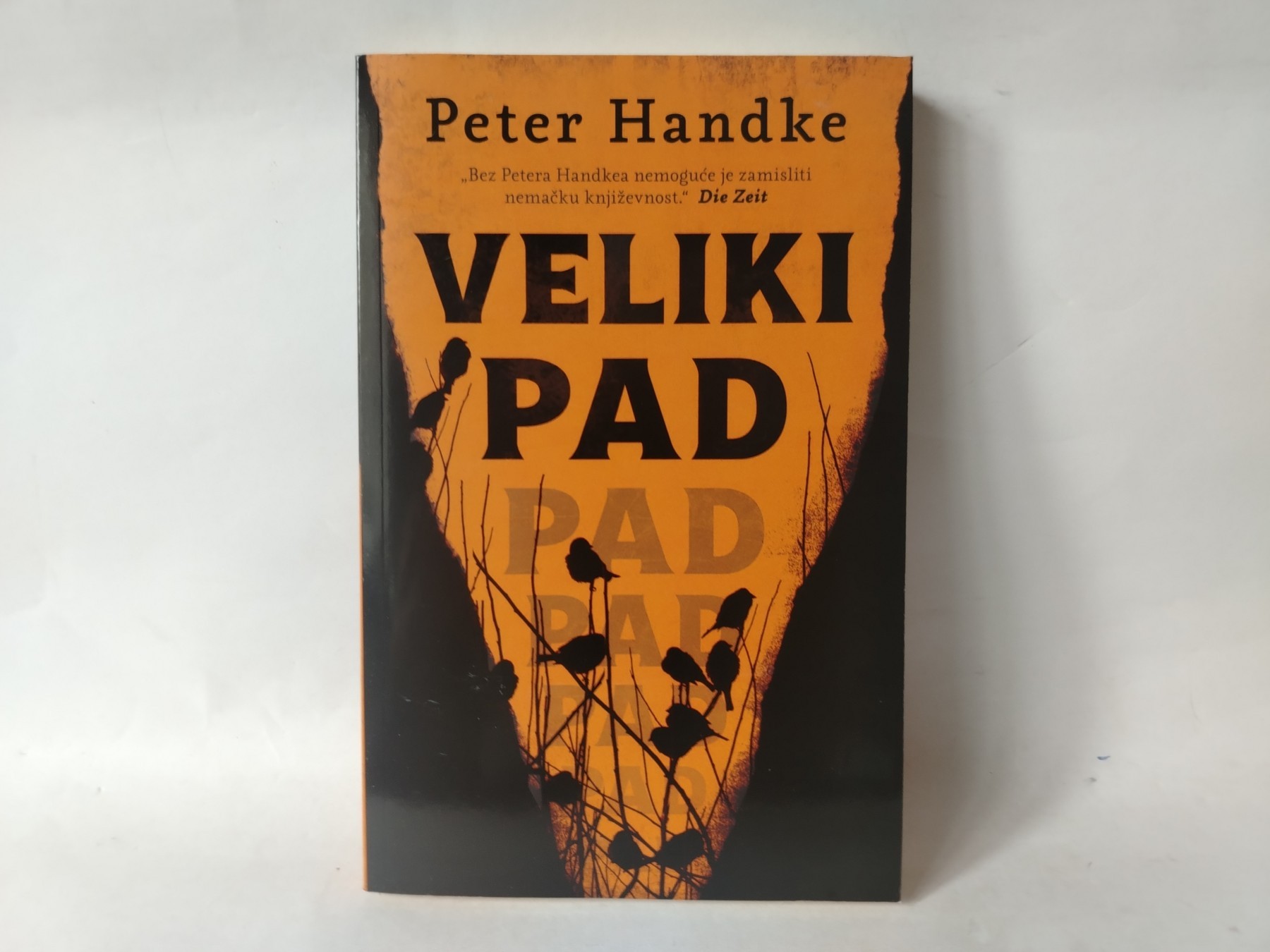 Veliki pad — Peter Handke